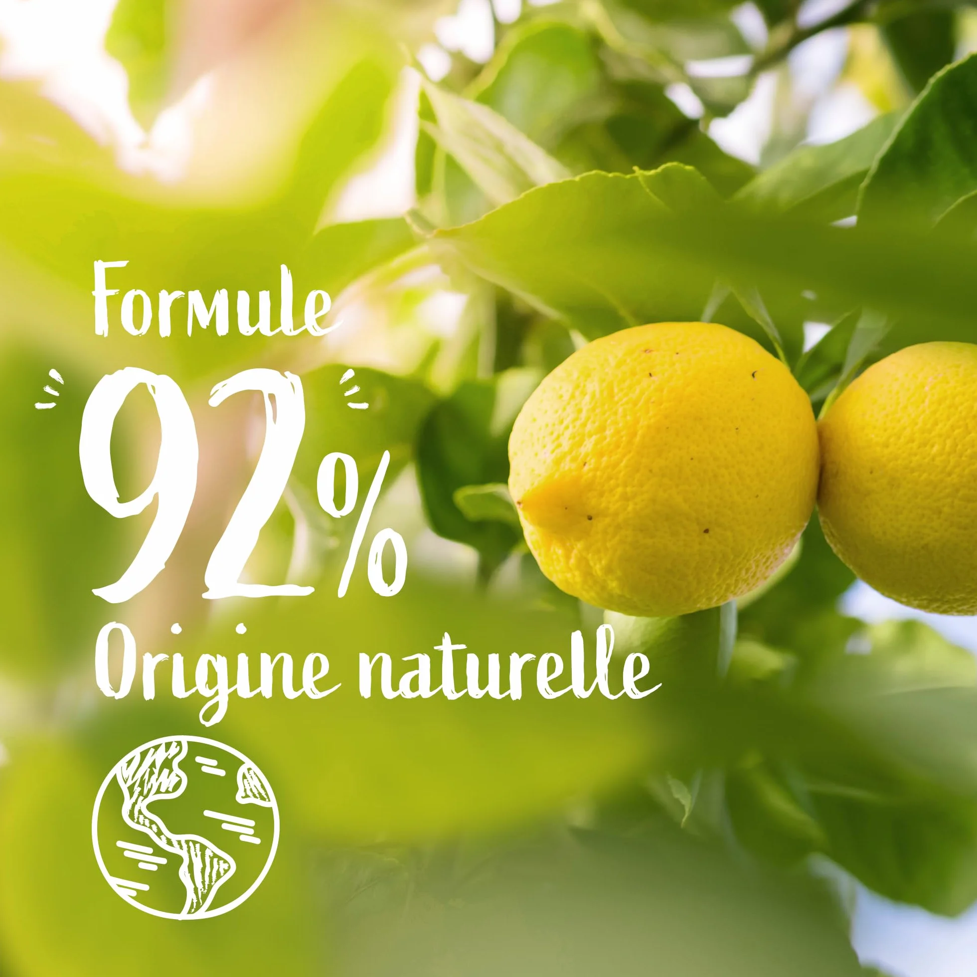 Le Petit Marseillais Gel Lavant Mains Le Cuisinier 300 ml Savon Mains Liquide Anti Odeurs Huile Essentielle Citron 92% Naturelle
