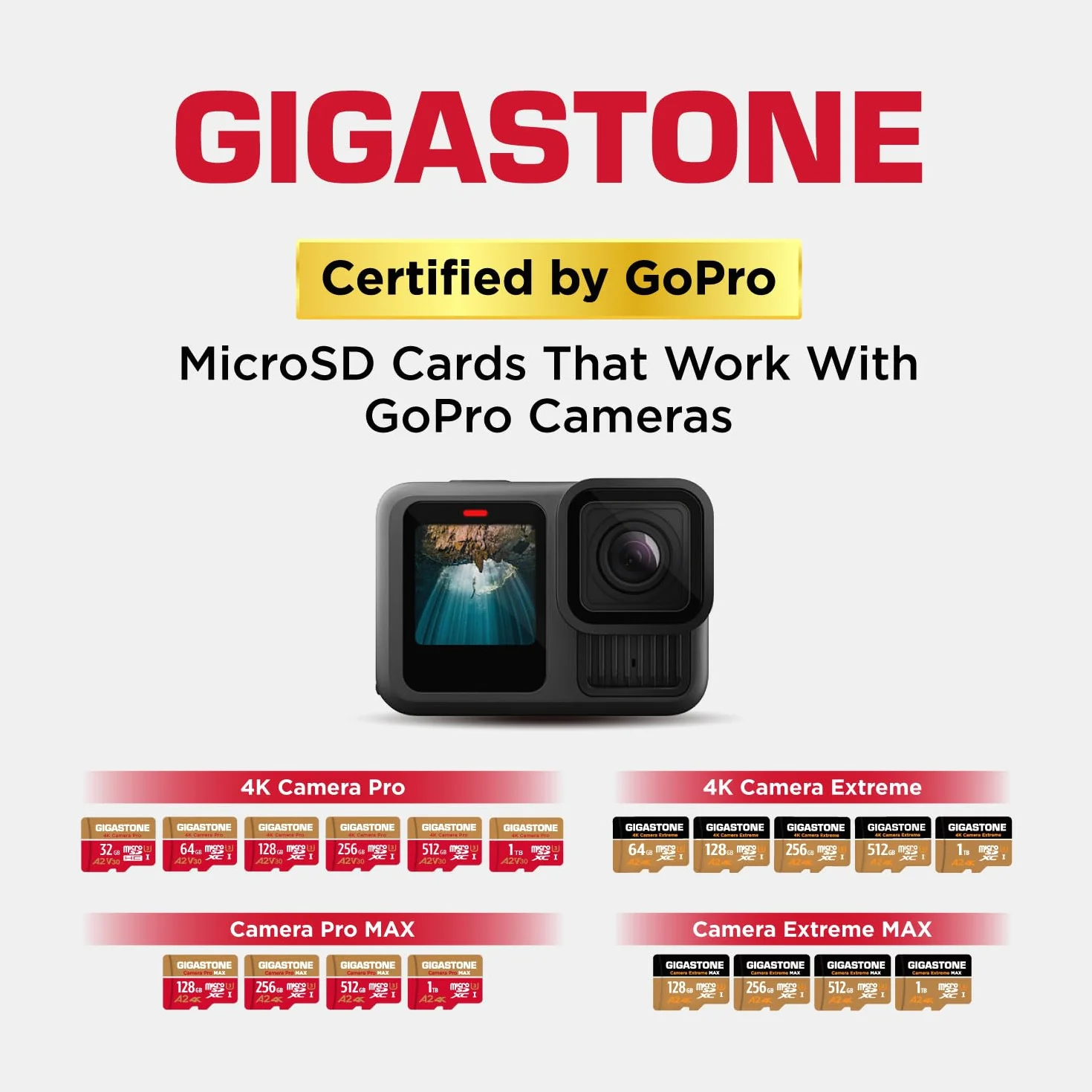 GIGASTONE Carte Mémoire 256 Go MicroSDXC A2 V30 U3 4K 100 Mo/s
