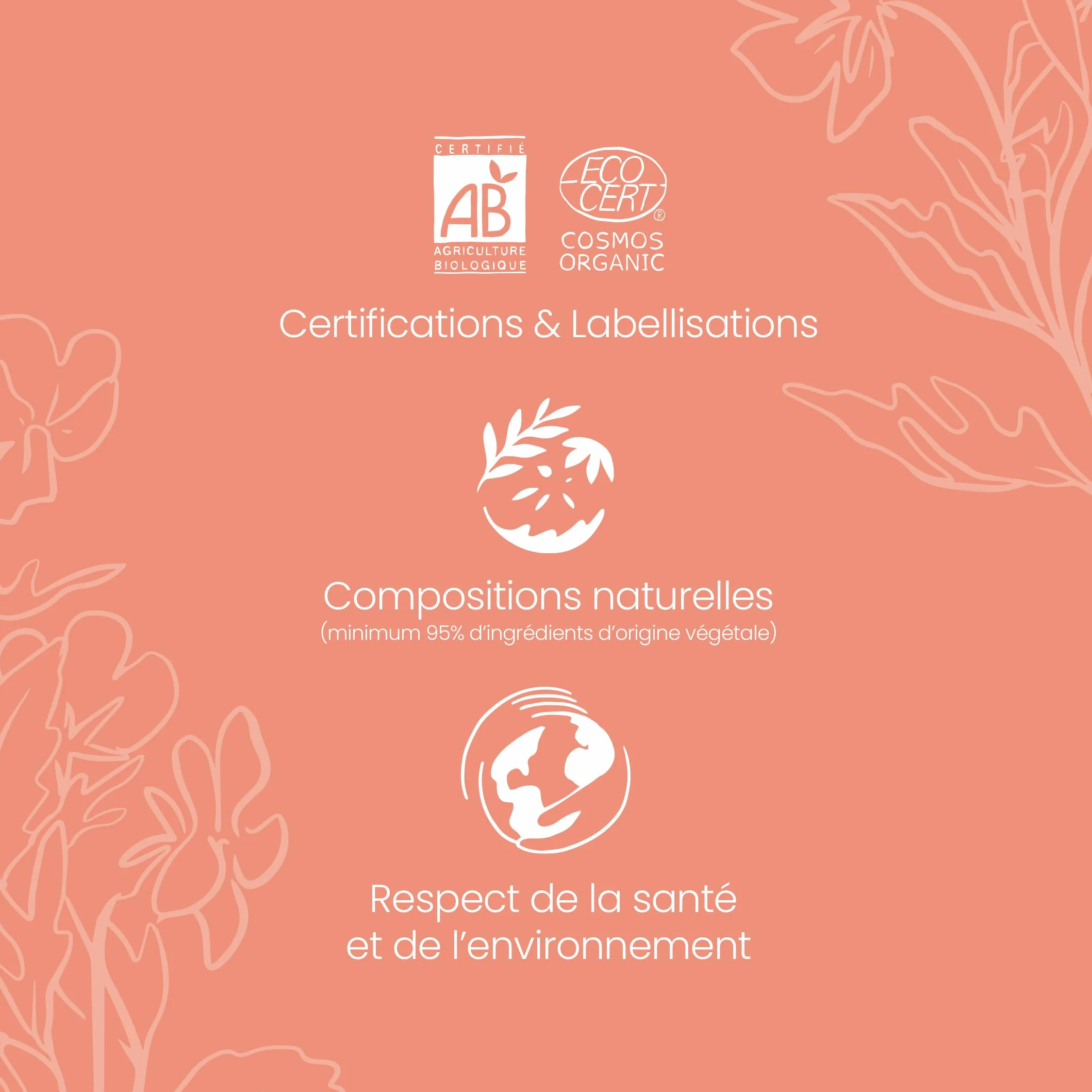 LAIT DÉMAQUILLANT BIO VISAGE BELLE&BIO 200 ml Nettoyant Hydratant Sans rinçage Toutes Peaux