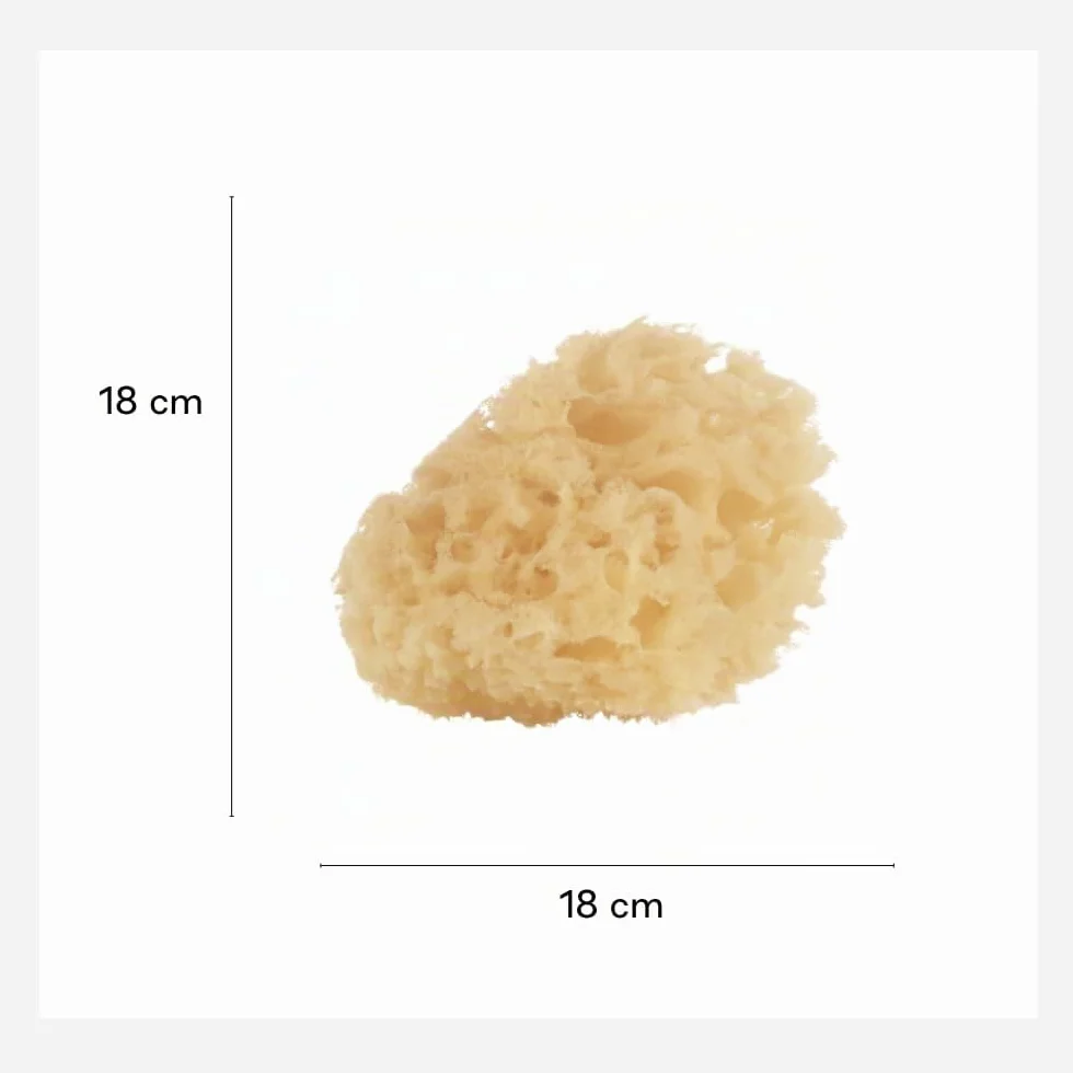 Jané Éponge Naturelle pour Bébé, Lot de 2, Douce et Absorbante