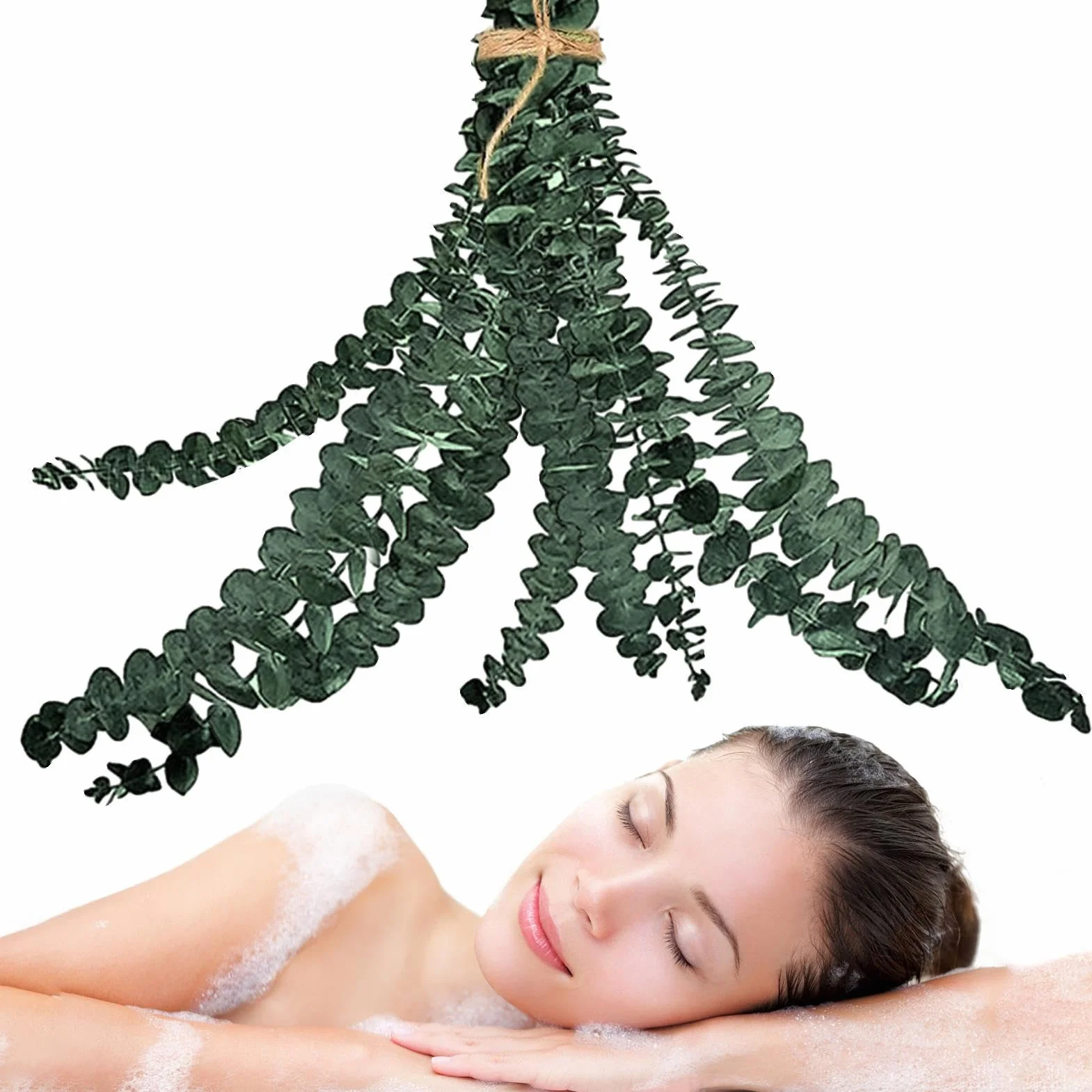 Eucalyptus sec 10 tiges pour salle de bain parfum rafraîchissant