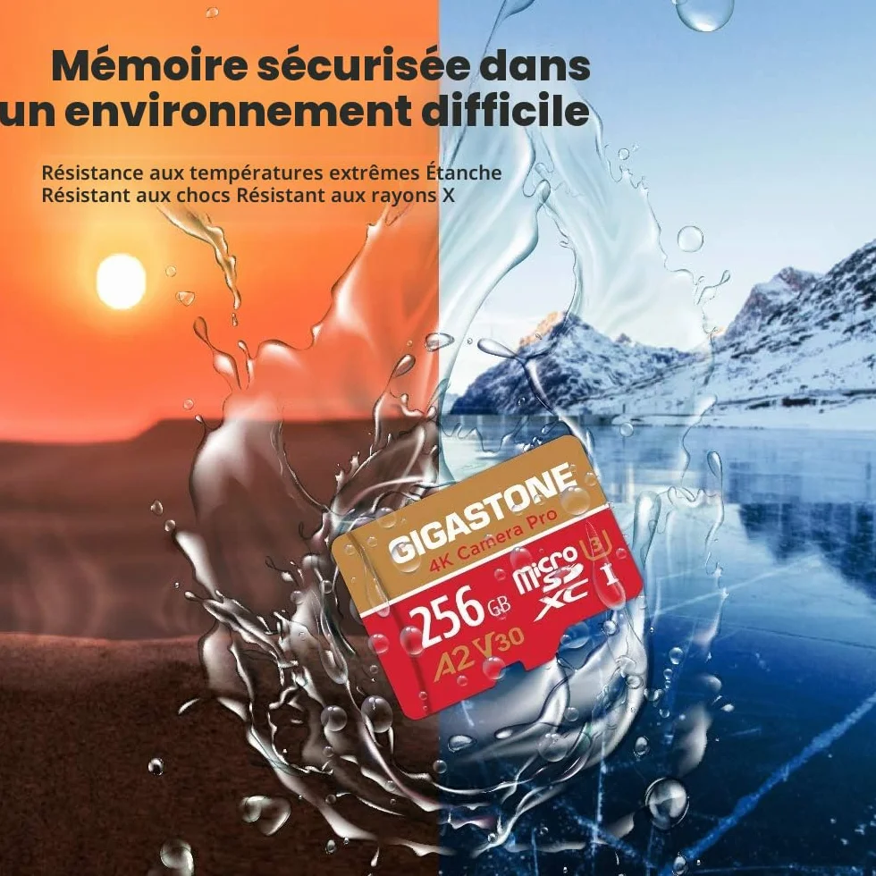 GIGASTONE Carte Mémoire 256 Go MicroSDXC A2 V30 U3 4K 100 Mo/s