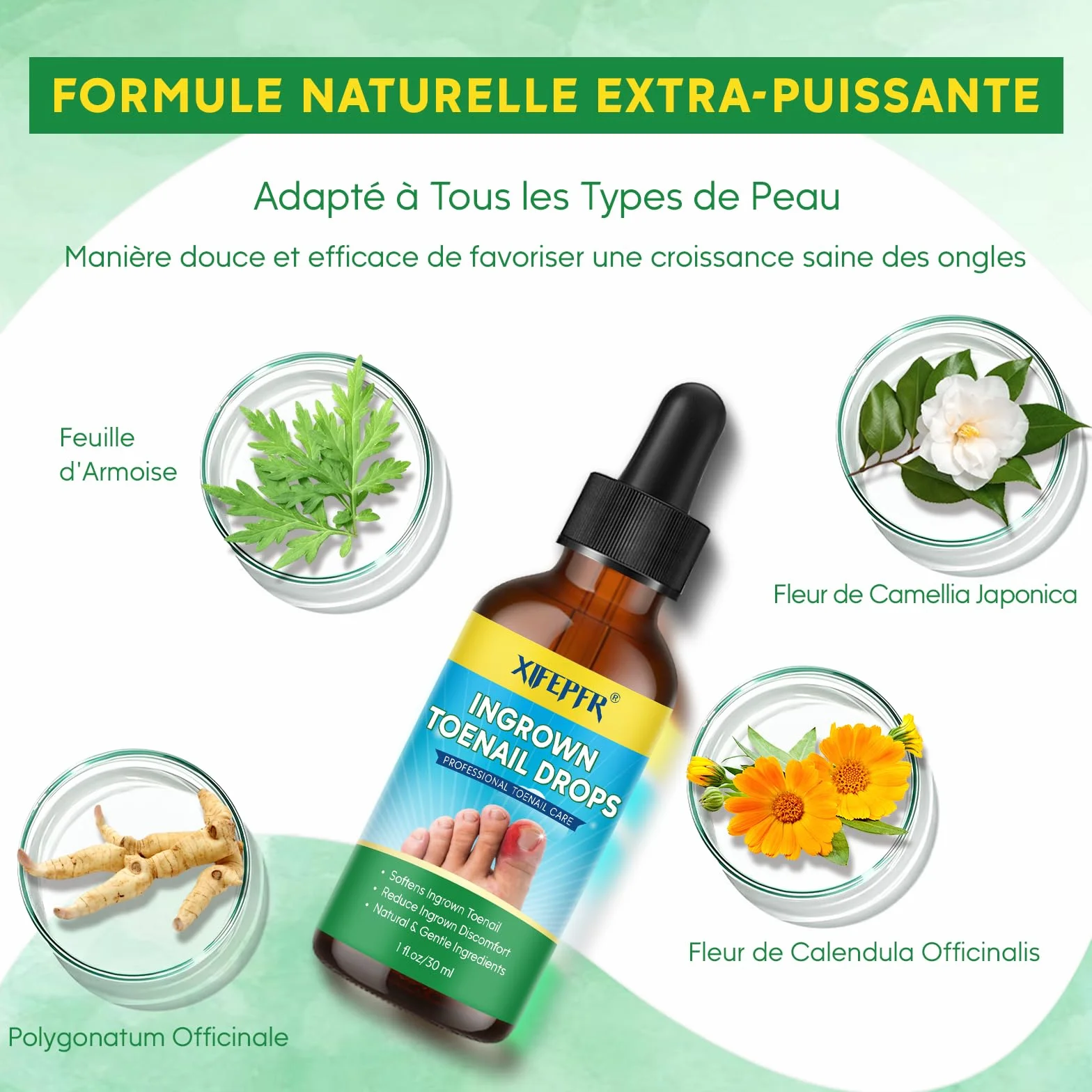Kit d'Outils pour Ongle Incarné, Traitement Correcteur, Coupe Ongle et Pince Cuticule