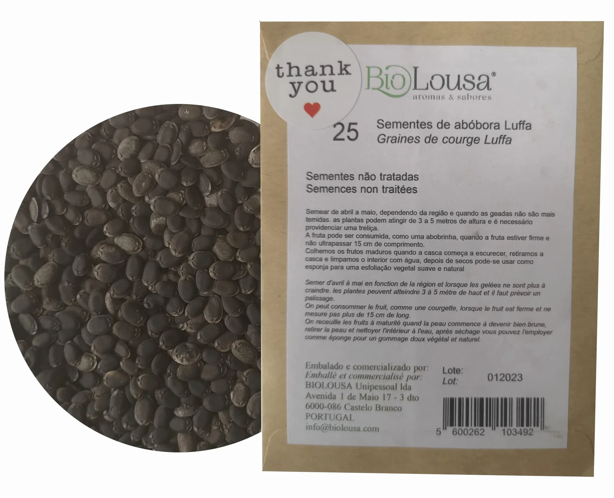 Semences de Luffa BIO, éponge végétale - 25 graines