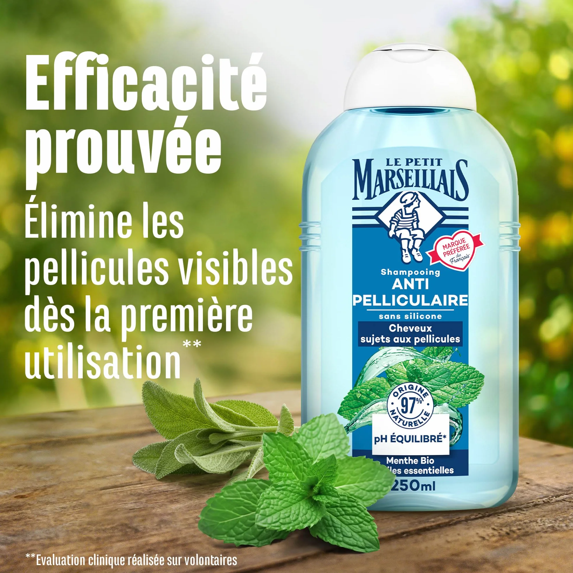 Le Petit Marseillais Shampooing Anti-Pelliculaire Menthe Bio & Huiles Essentielles 250 ml