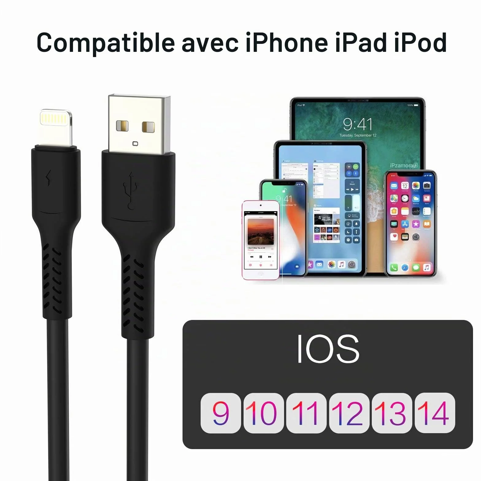 Lot de 5 Câble Lightning vers USB 20cm Charge Rapide pour iPhone - Noir