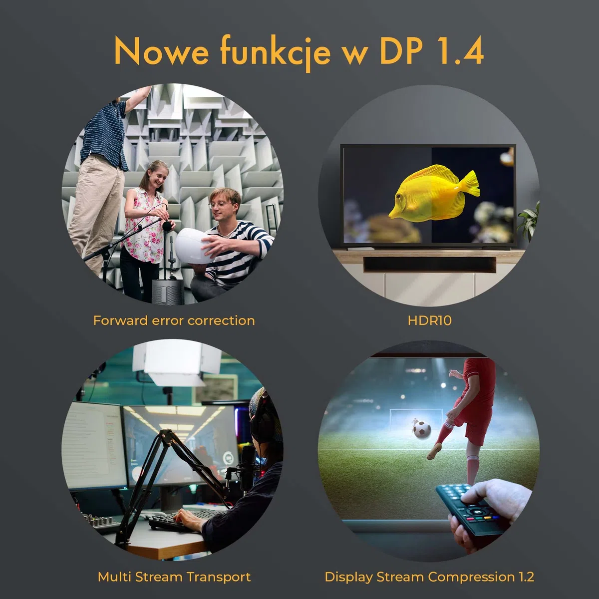 Câble DisplayPort 8K @ 60 Hz, 4K @ 144 Hz | Câble optique actif AOC | Display Stream Compression 1.2 (DSC), FEC, Dynamic HDR, HDR10, échantillonnage 4:4:4 | longueur 15 m