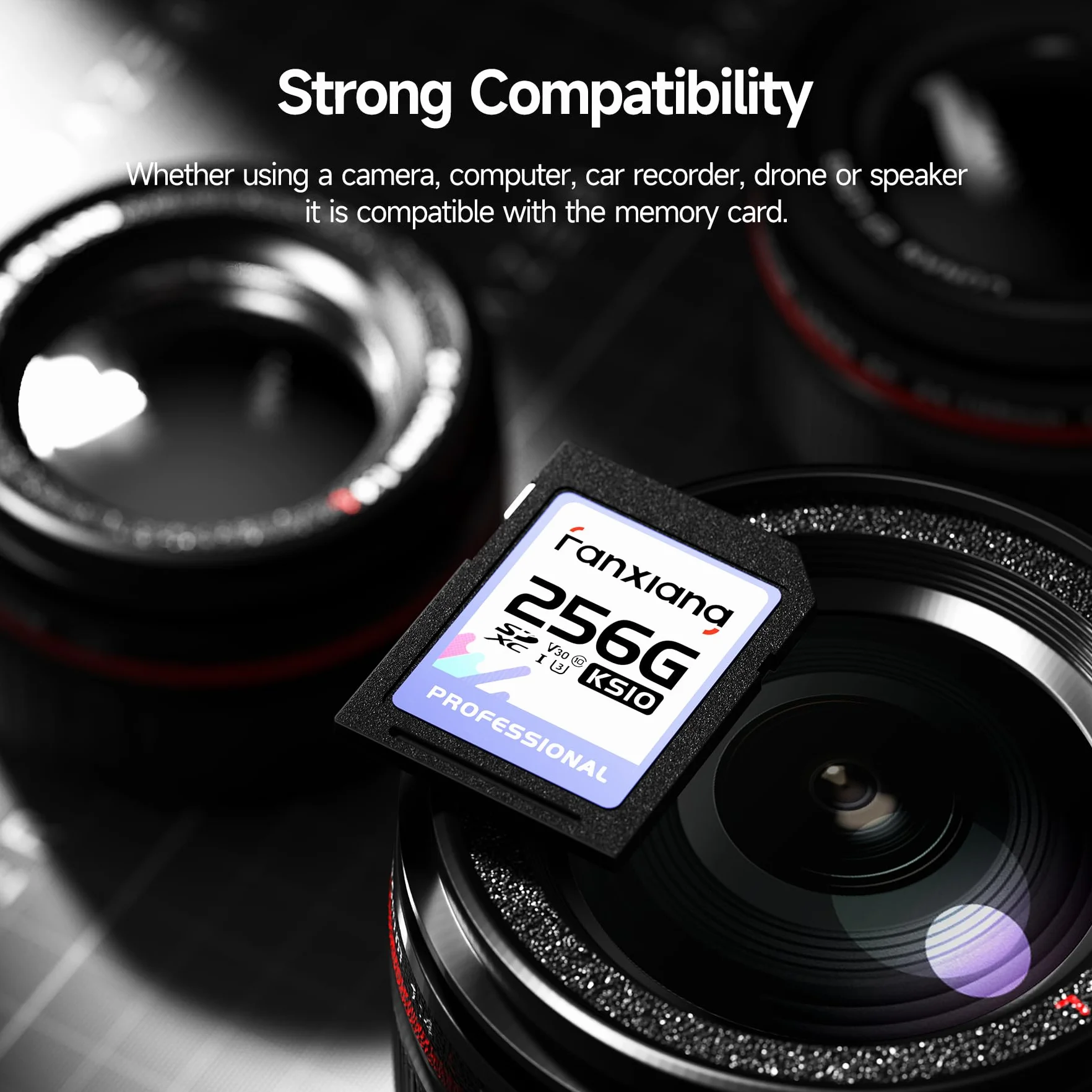 Fanxiang Carte SD 256 Go 100 Mo/s SDXC UHS-I V30 U3 Classe 10 pour Appareil Photo Vidéos 4K UHD
