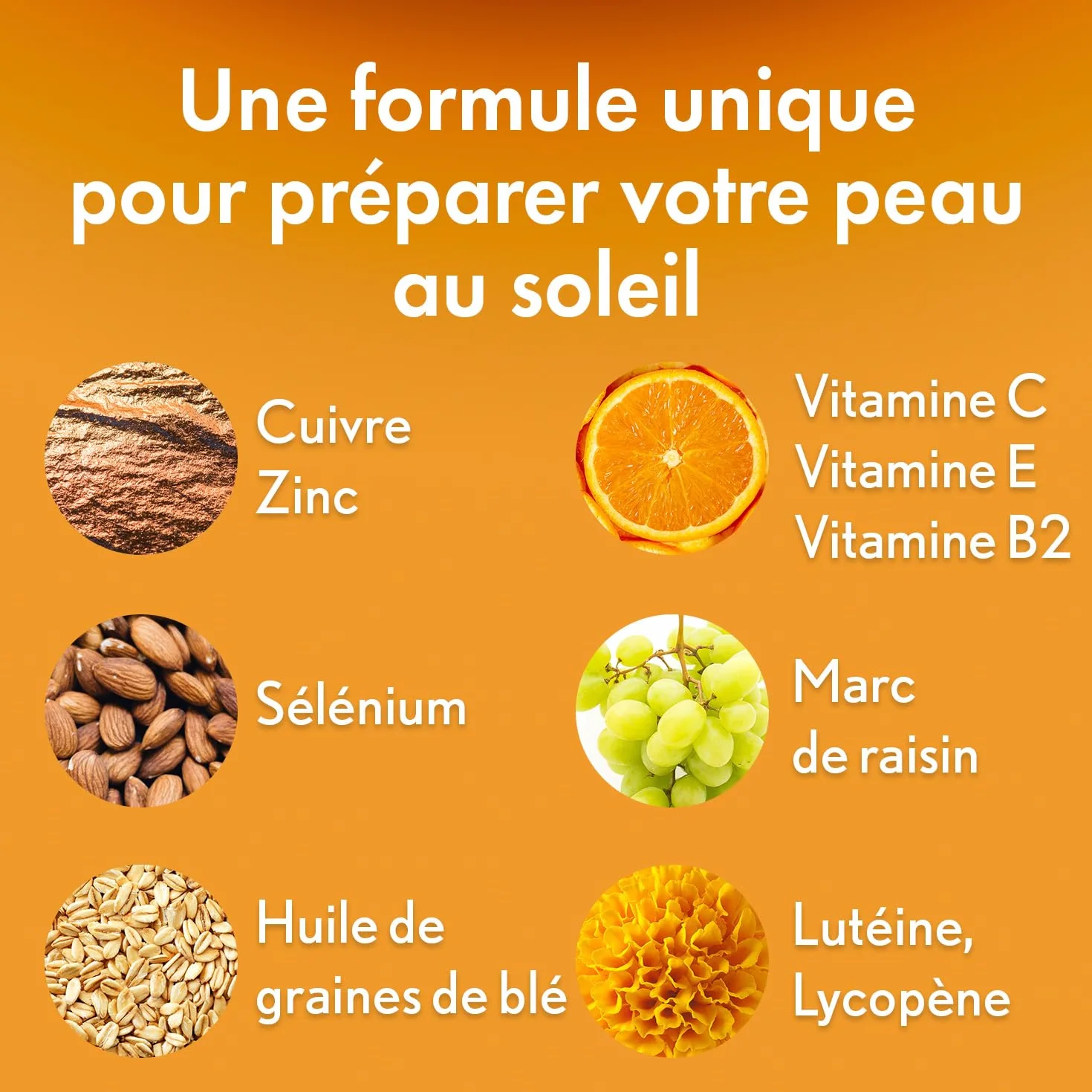 Oenobiol Sun Expert Préparateur Solaire 3-en-1 Triple Action Protection Cellulaire Hâle Intense Anti-Âge Global Complément Alimentaire 2 x 30 Capsules Végétales