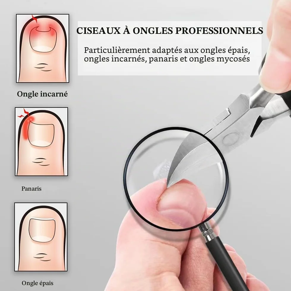 DAZISEN Coupe Ongles Acier Inoxydable Pince à Ongles Professionnel