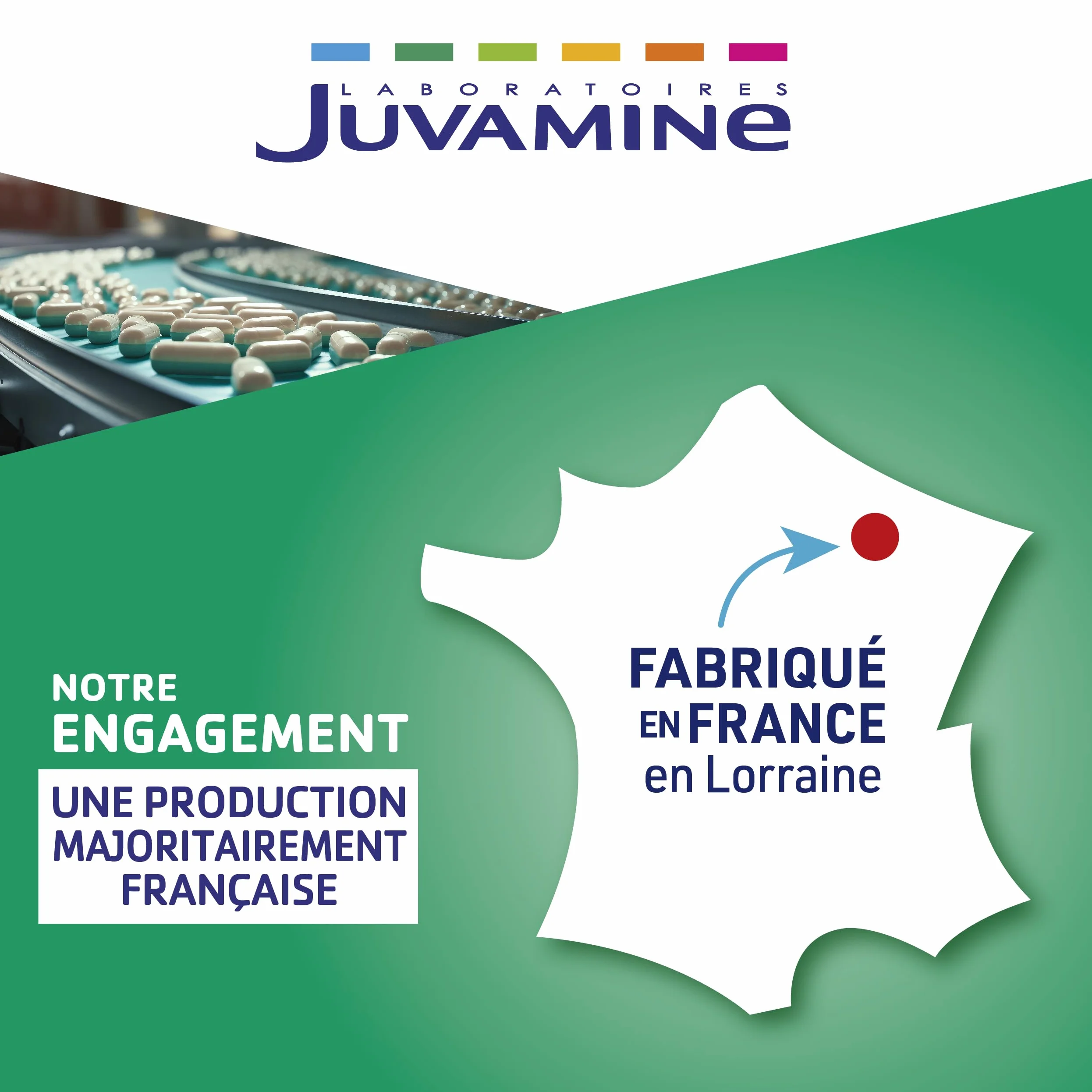 JUVAMINE Chute de Cheveux Pousse Croissance 6 Actifs Beauté Zinc Biotine 30 Comprimés Fabriqué en France
