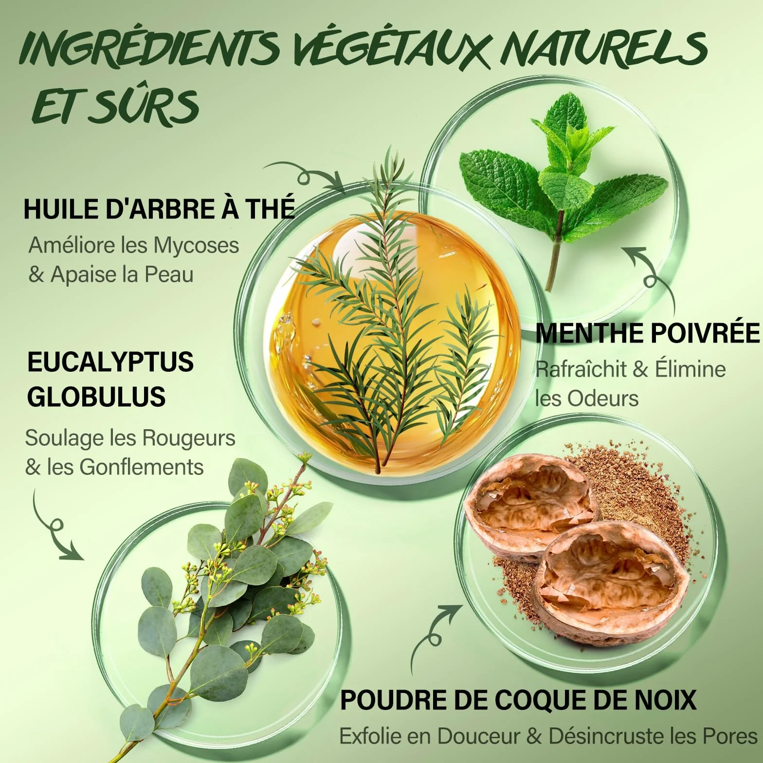 Gommage Corporel à l'Huile d'Arbre à Thé 360g – Exfoliant au Sel Marin pour Mycoses, Démangeaisons, Eczéma
