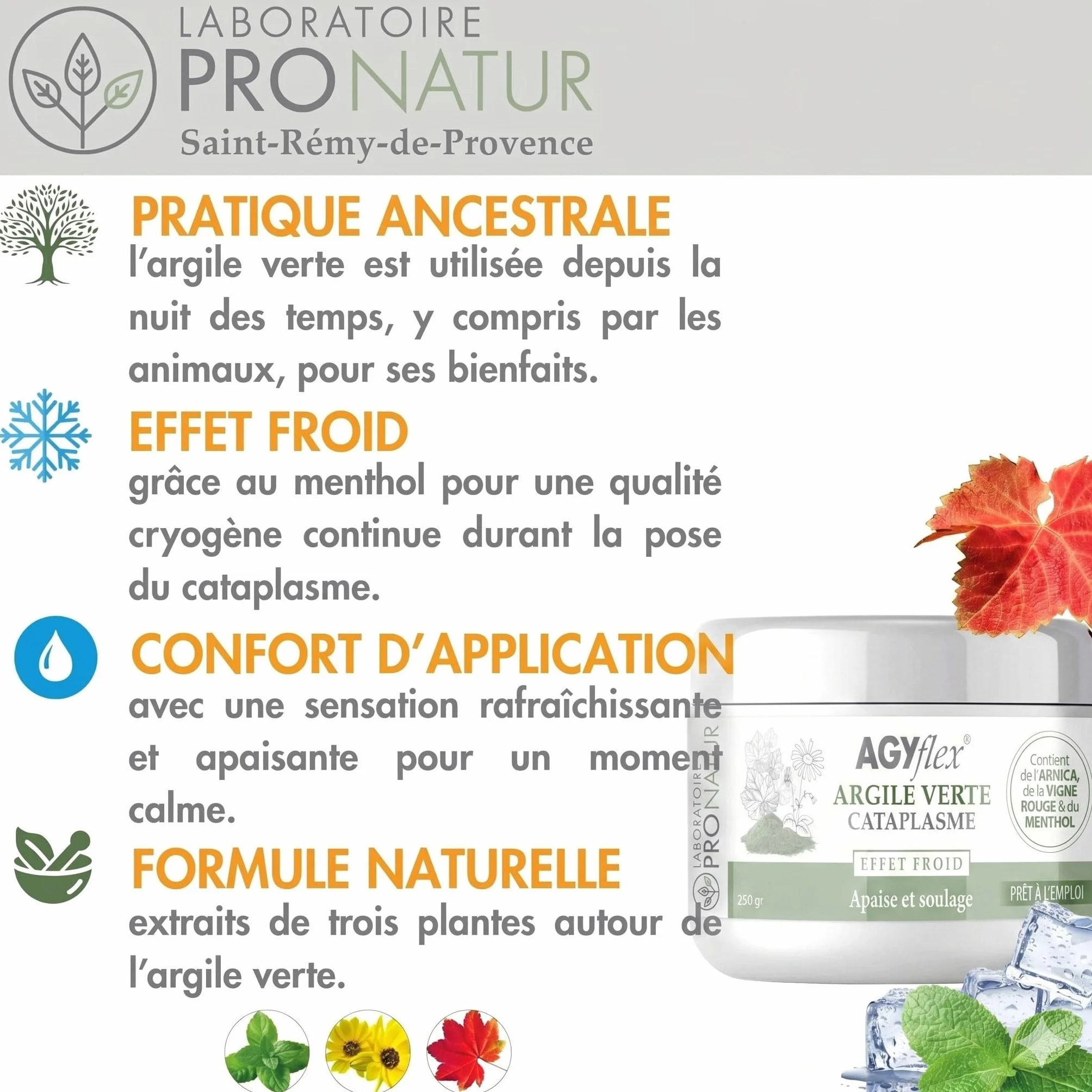 Cataplasme Cryo AGYflex Argile Verte 250g Vigne Rouge Arnica Menthol Bien-être Muscles Articulations Fabriqué en France
