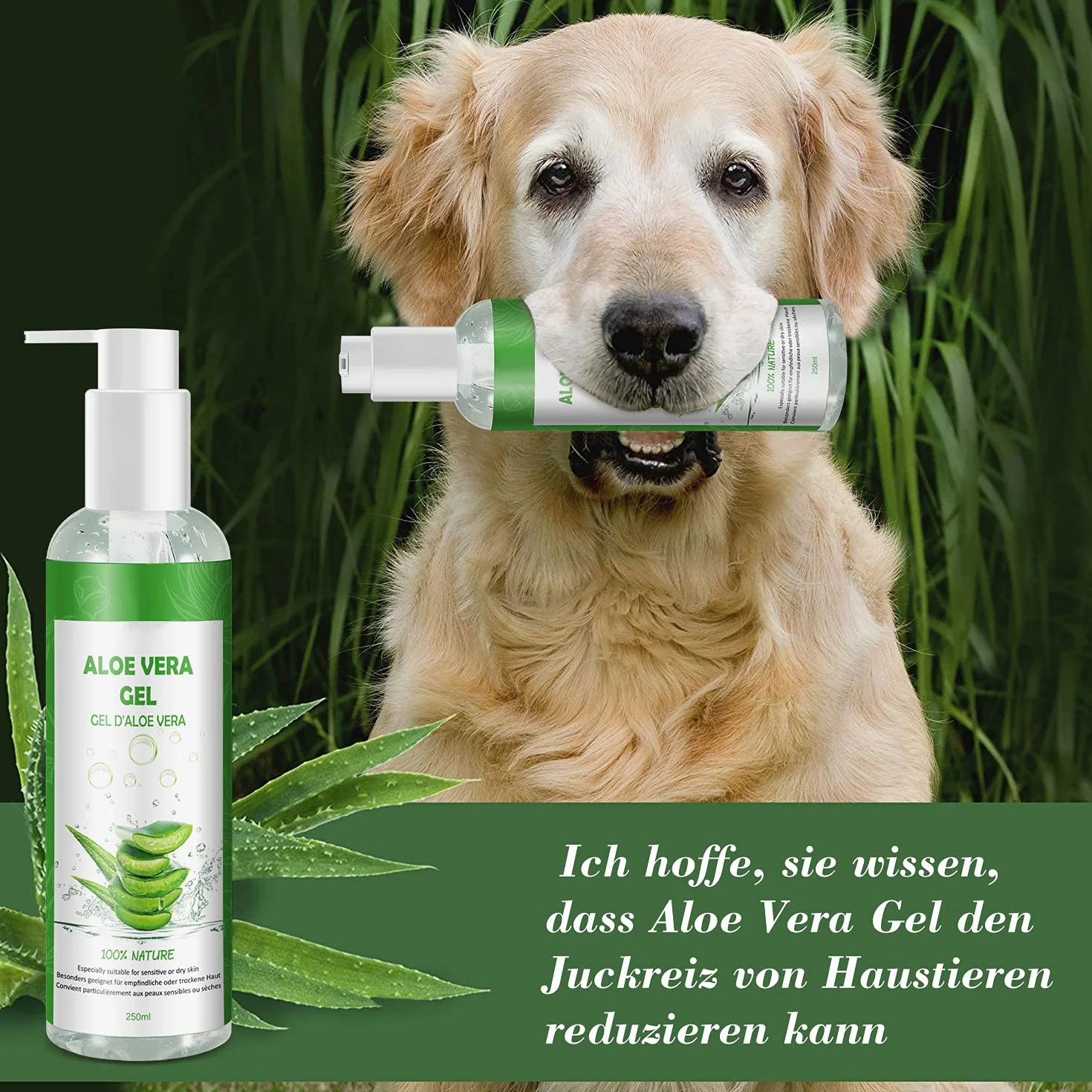 Gel d'aloe vera 100 % pur - Crème hydratante naturelle pour le visage, les cheveux, le corps