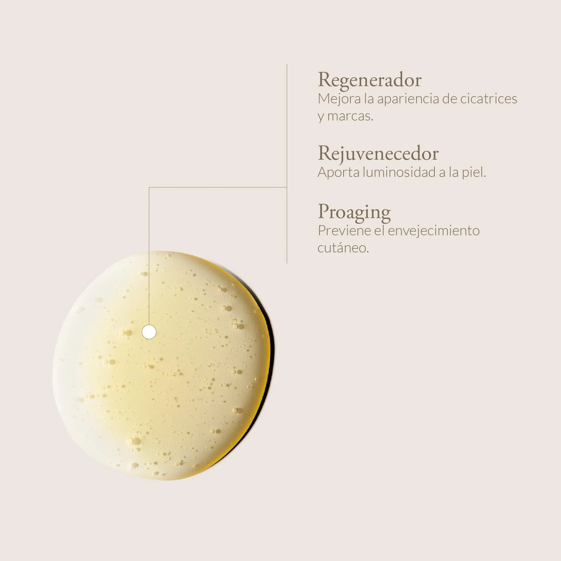 ALQVIMIA ÖL ROSA Goldröschen 60 ml