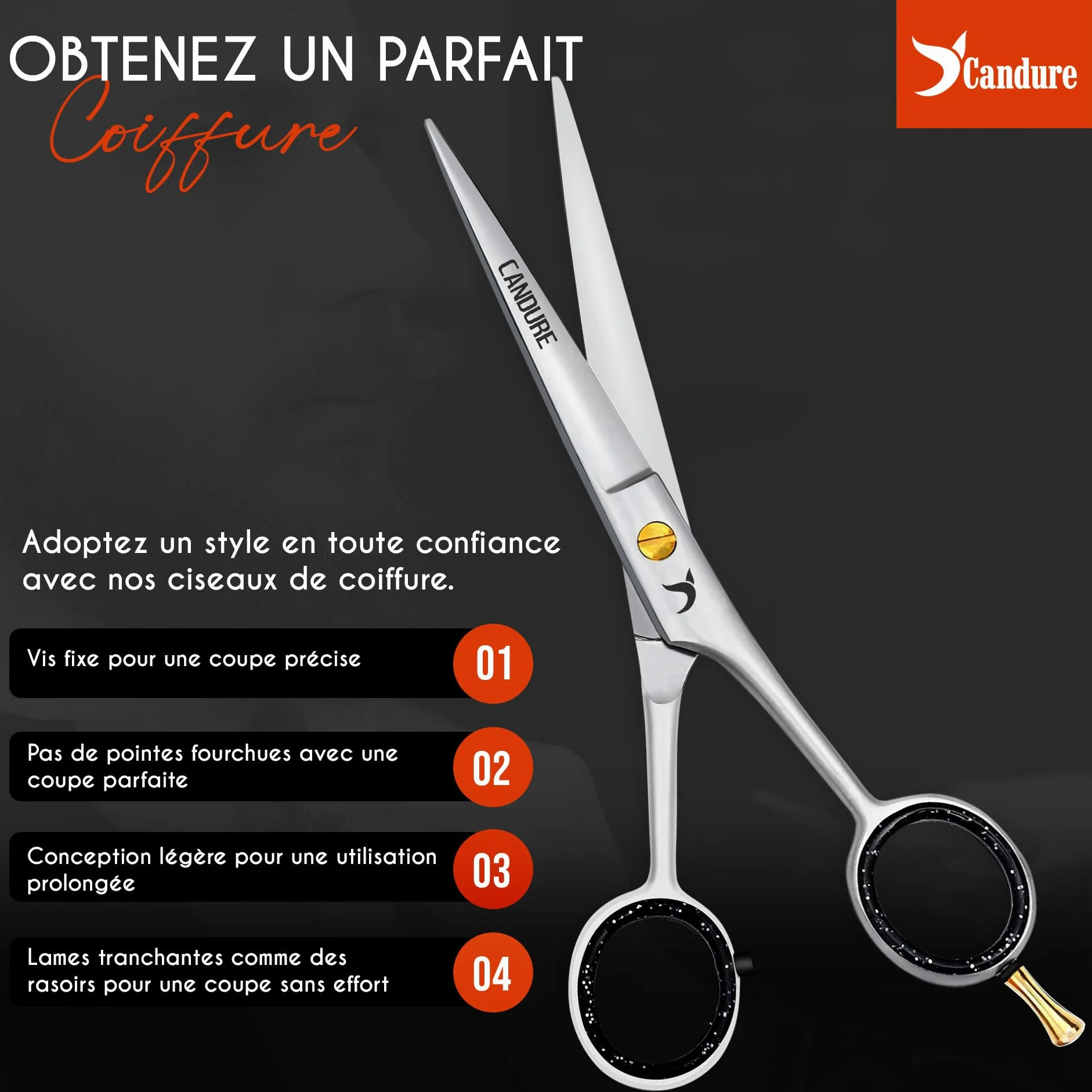 Candure Ciseaux de coiffure professionnels 6,5" acier inoxydable avec peigne et étui