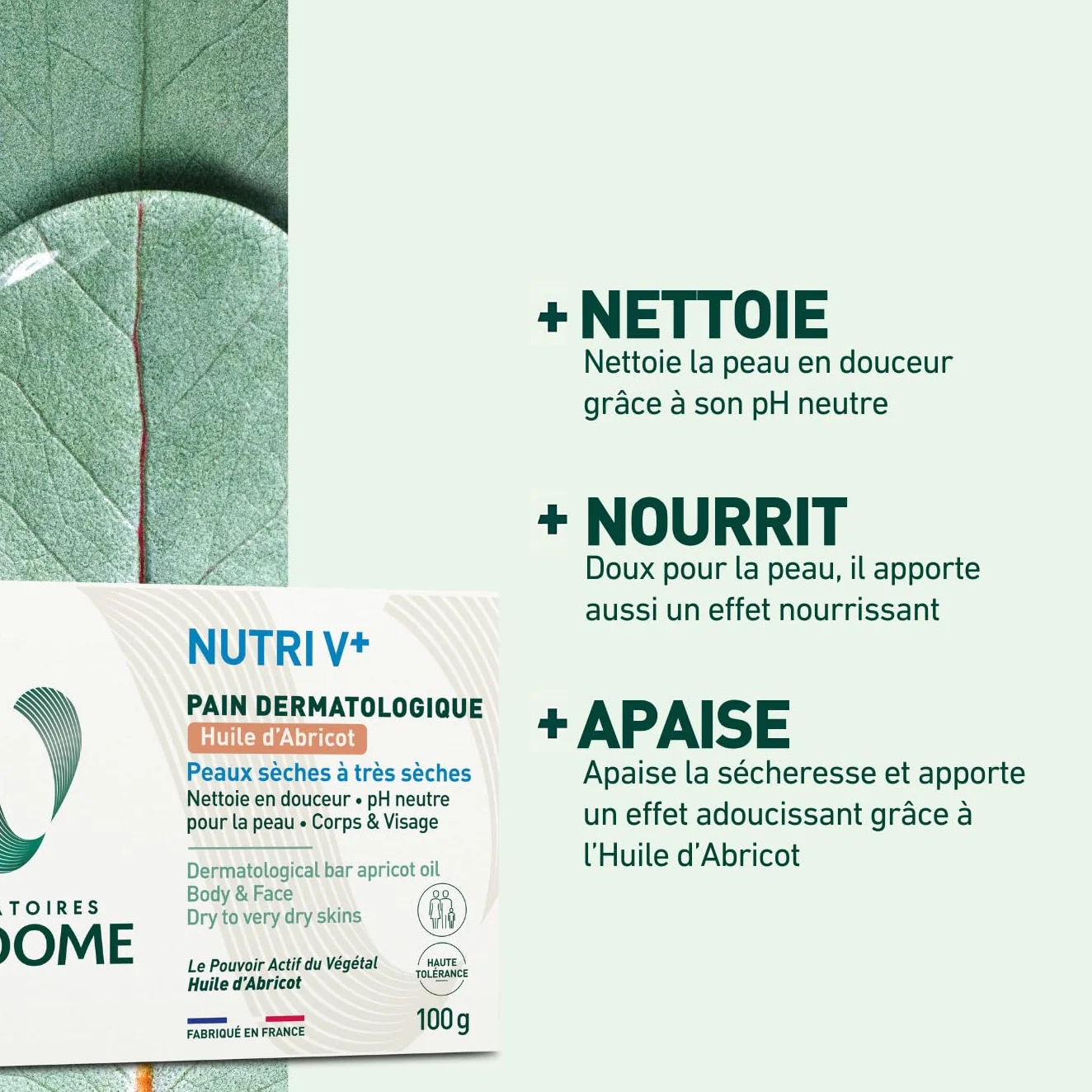LABORATOIRES VENDÔME NUTRI V+ Pain Dermatologique Huile d'Abricot Corps & Visage 100g Peaux Sèches à Très Sèches