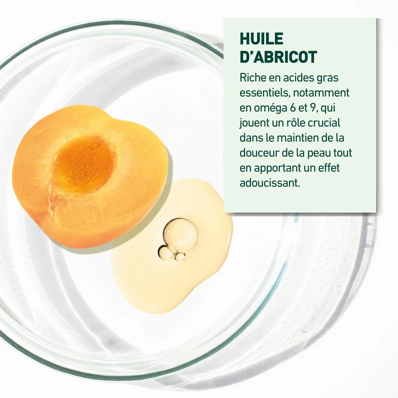 LABORATOIRES VENDÔME NUTRI V+ Pain Dermatologique Huile d'Abricot Corps & Visage 100g Peaux Sèches à Très Sèches
