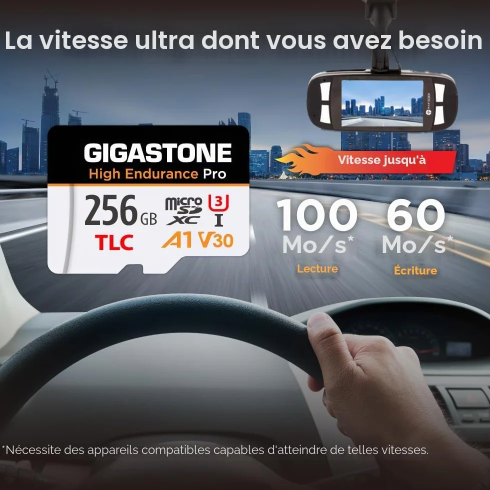 GIGASTONE Carte Micro SD 256 Go Haute Endurance Pro Series 100 Mo/s