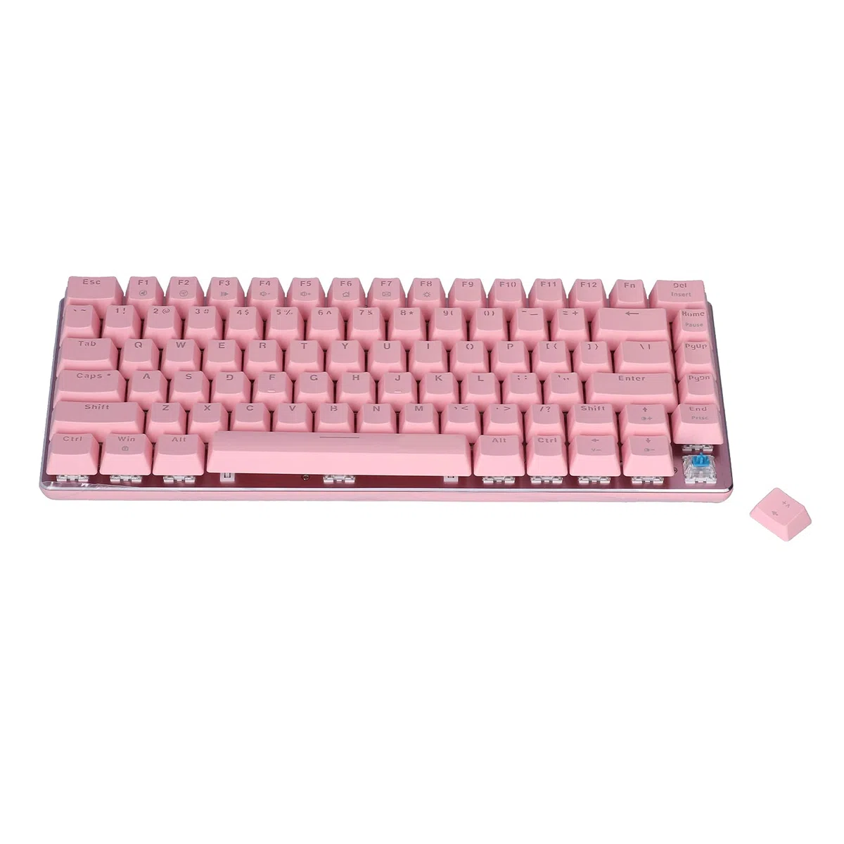 Ausla Clavier USB 82 Touches Type-C, Rétroéclairage Blanc Mécanique