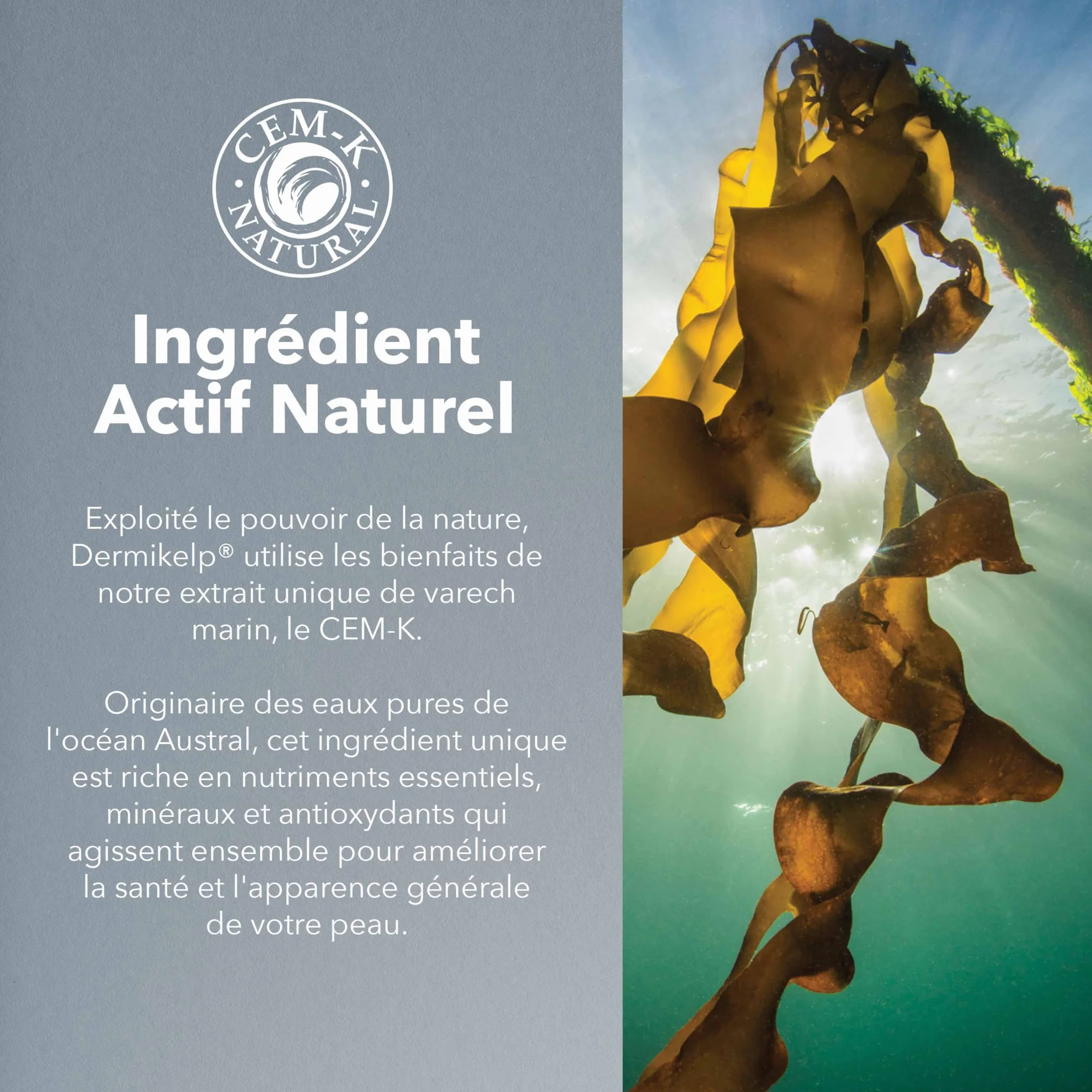 Tonique Apaisant Cuir Chevelu Irrité Sensible Algue Marine Extrait Jojoba Panthénol 100 ml