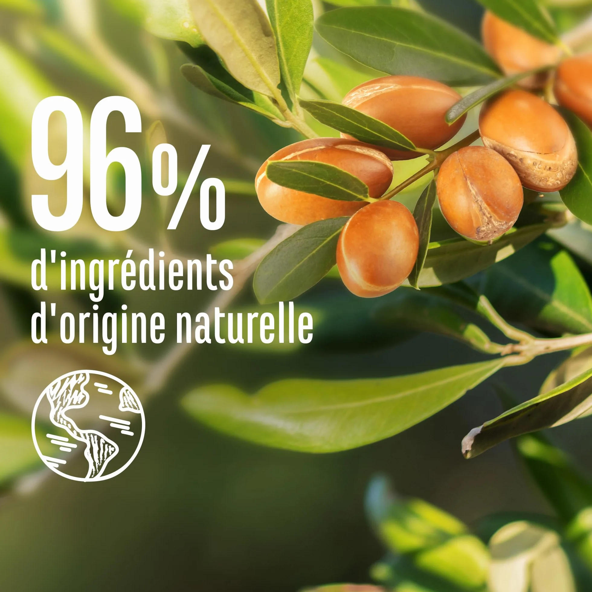 Le Petit Marseillais Shampooing Nutrition Intense Huile d'Argan Bio 250 ml Shampoing sans silicone cheveux très secs