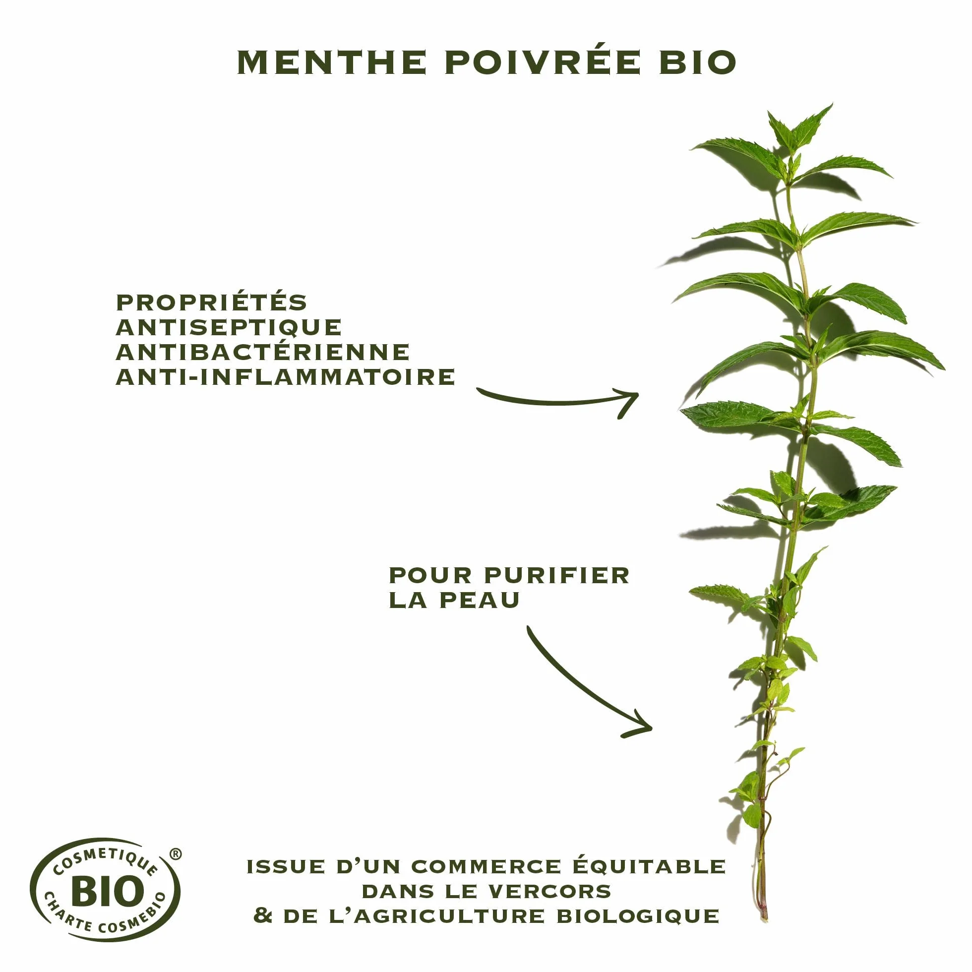 Sanoflore SOS Magnifica Soin Local Anti-Boutons Certifié Bio Menthe Poivrée 15 ml