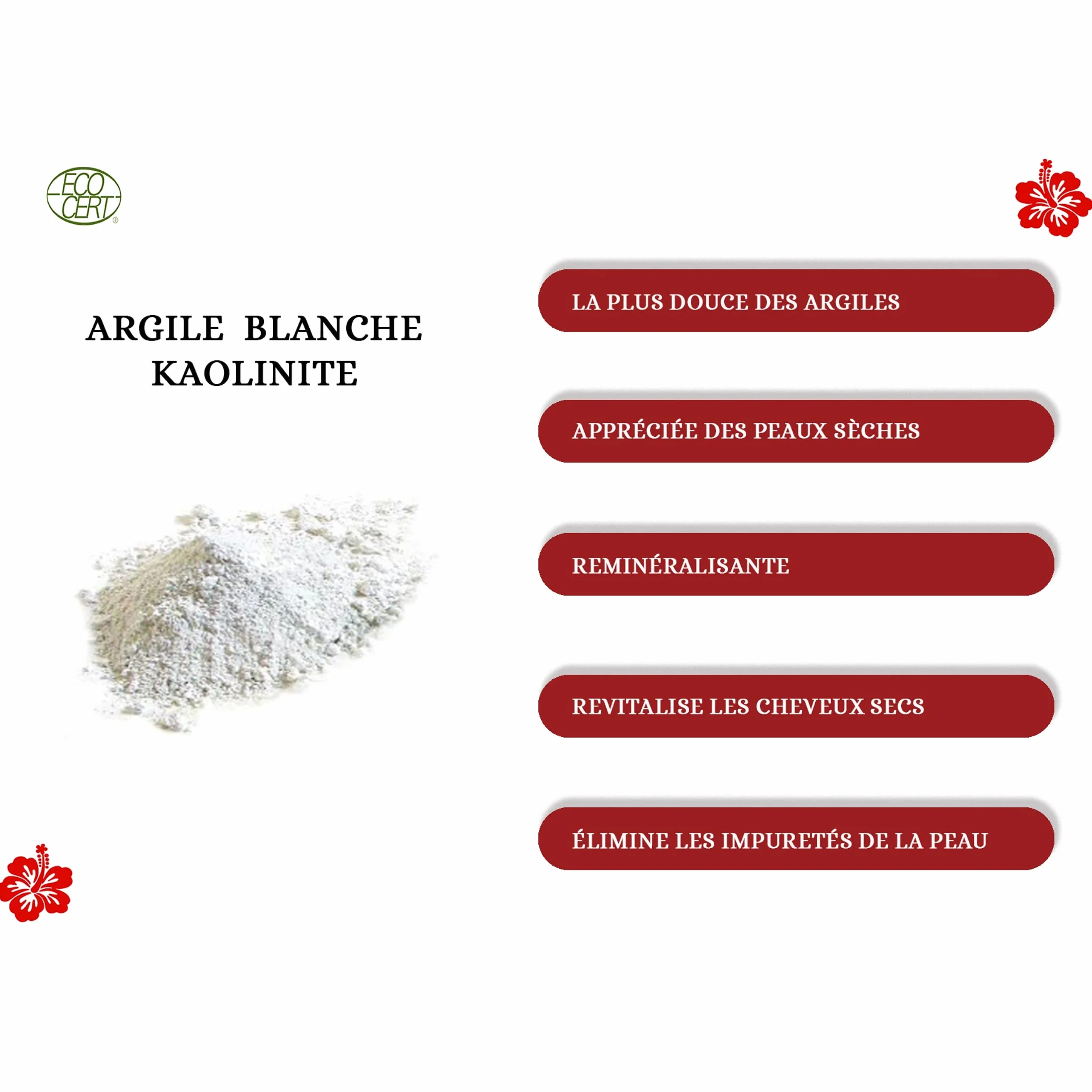 Argile blanche kaolin certifiée Eco-Cert avec pinceau applicateur masque en silicone visage corps cheveux