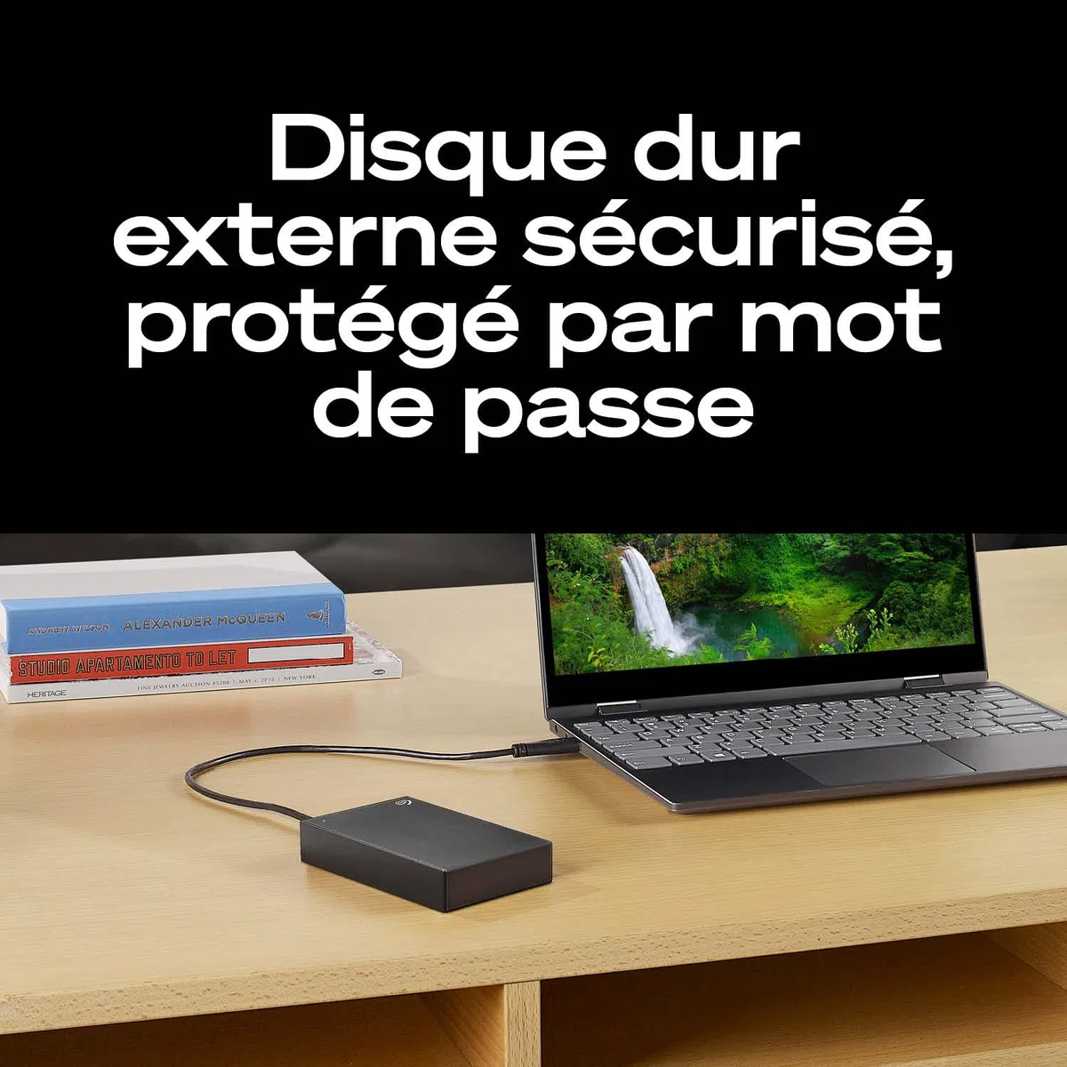 Seagate One Touch 4To, Disque Dur Externe Portable, chiffrement matériel par mot de passe, PC, Notebook & Mac, USB 3.0, Space Gray, Services Rescue inclus (STKZ4000404)
