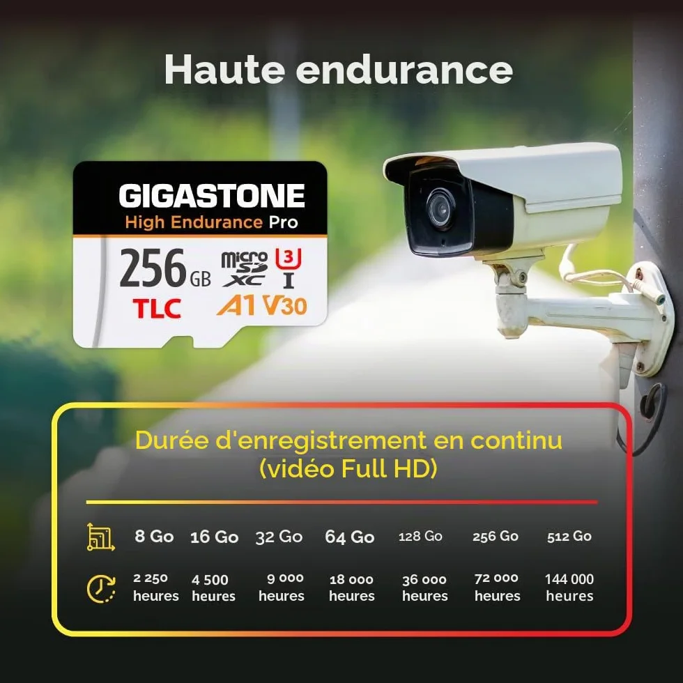 GIGASTONE Carte Micro SD 256 Go Haute Endurance Pro Series 100 Mo/s