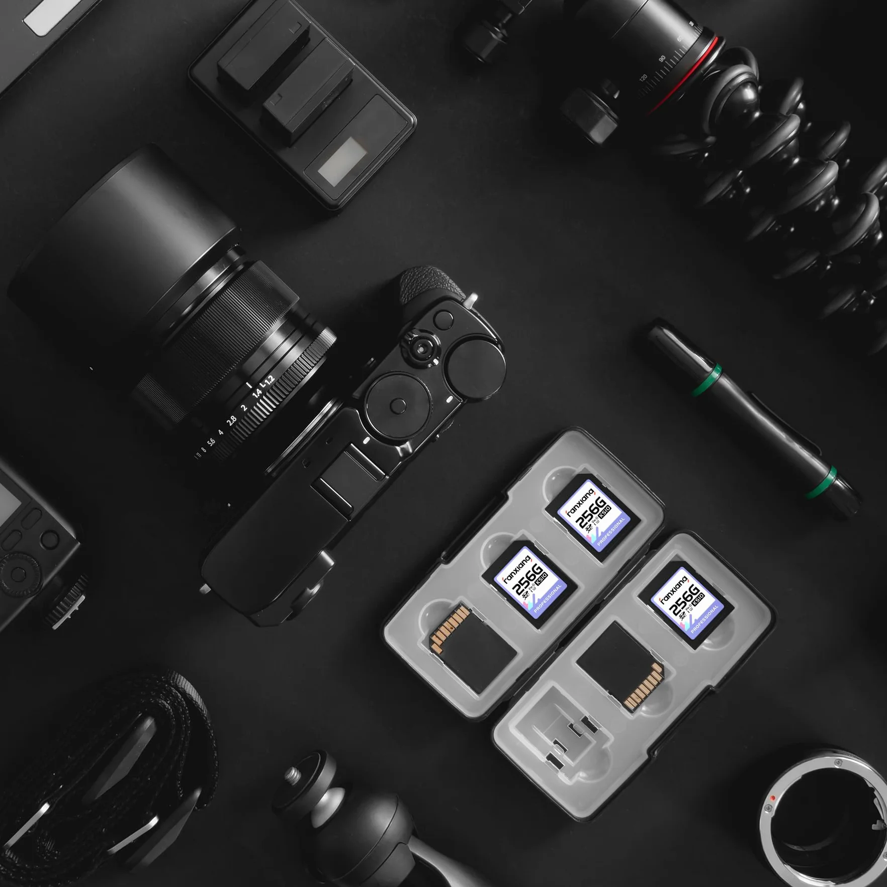 Fanxiang Carte SD 256 Go 100 Mo/s SDXC UHS-I V30 U3 Classe 10 pour Appareil Photo Vidéos 4K UHD