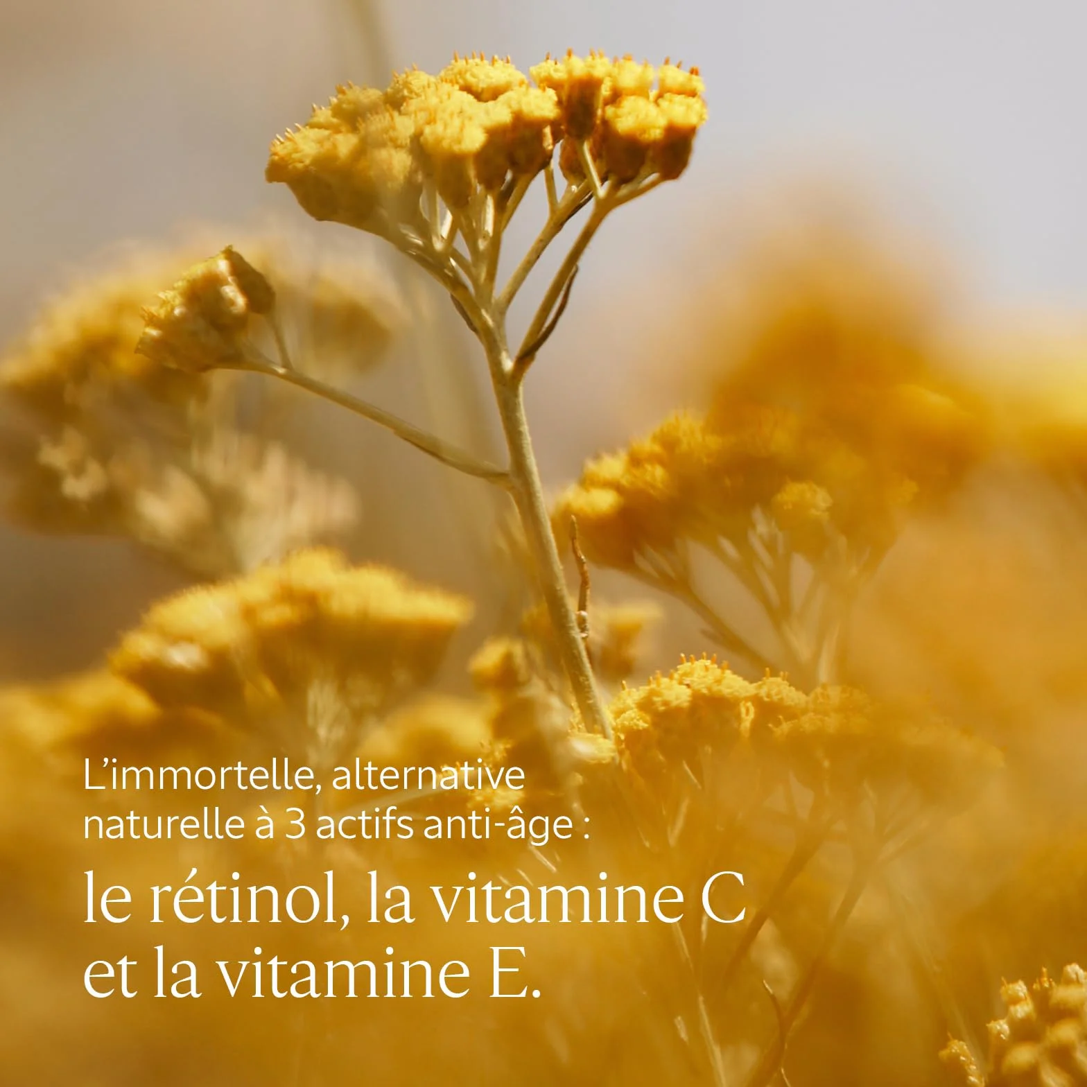 L'OCCITANE Mousse Nettoyante Immortelle Précieuse 150 ml