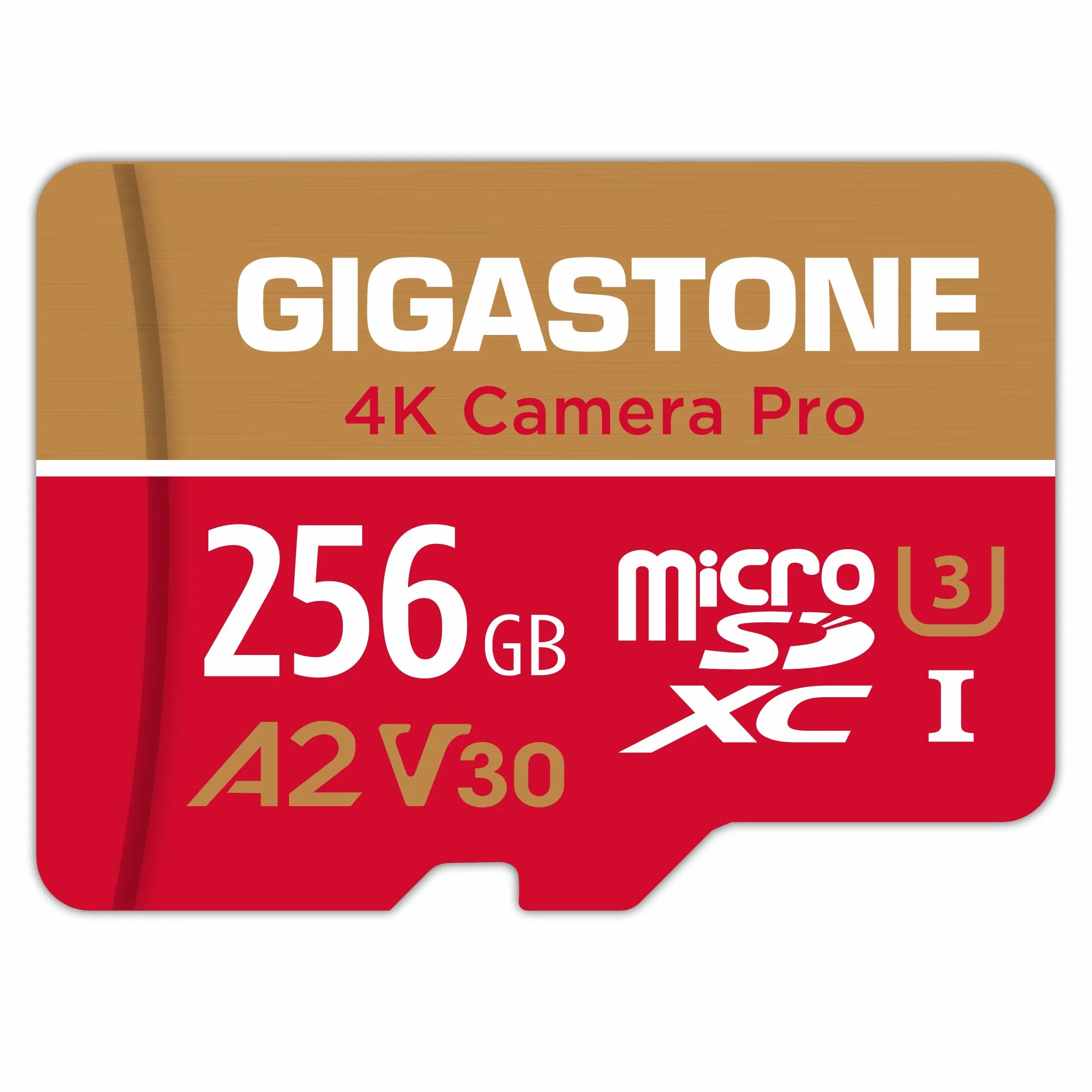 GIGASTONE Carte Mémoire 256 Go MicroSDXC A2 V30 U3 4K 100 Mo/s