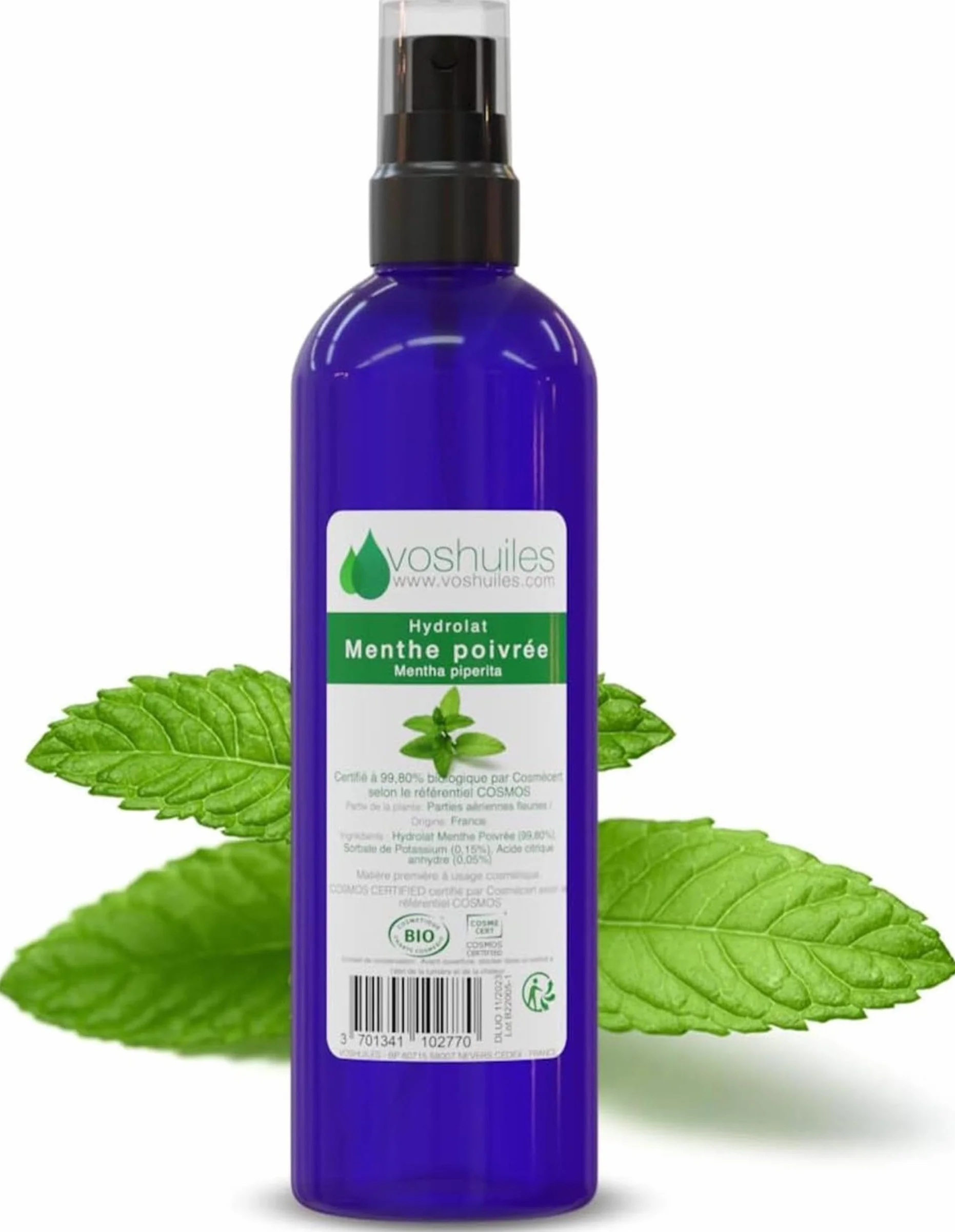 Hydrolat de Menthe Poivrée COSMOS 100ml Pur Rafraîchissant Peaux Ternes Fatiguées