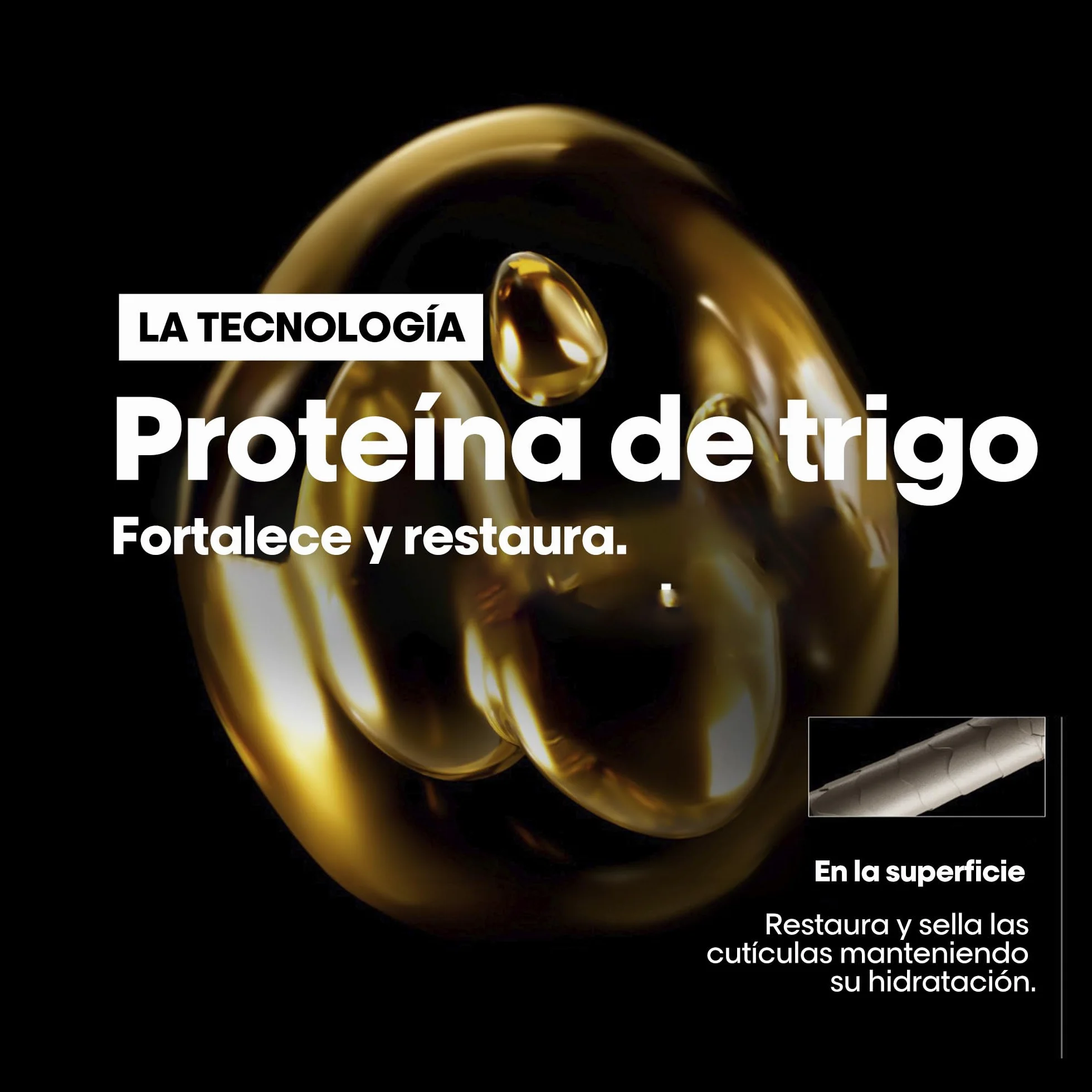 L'Oréal Professionnel Serie Expert Absolut Repair Après-Shampoing Réparateur Instantané Cheveux Secs & Abîmés 300ml