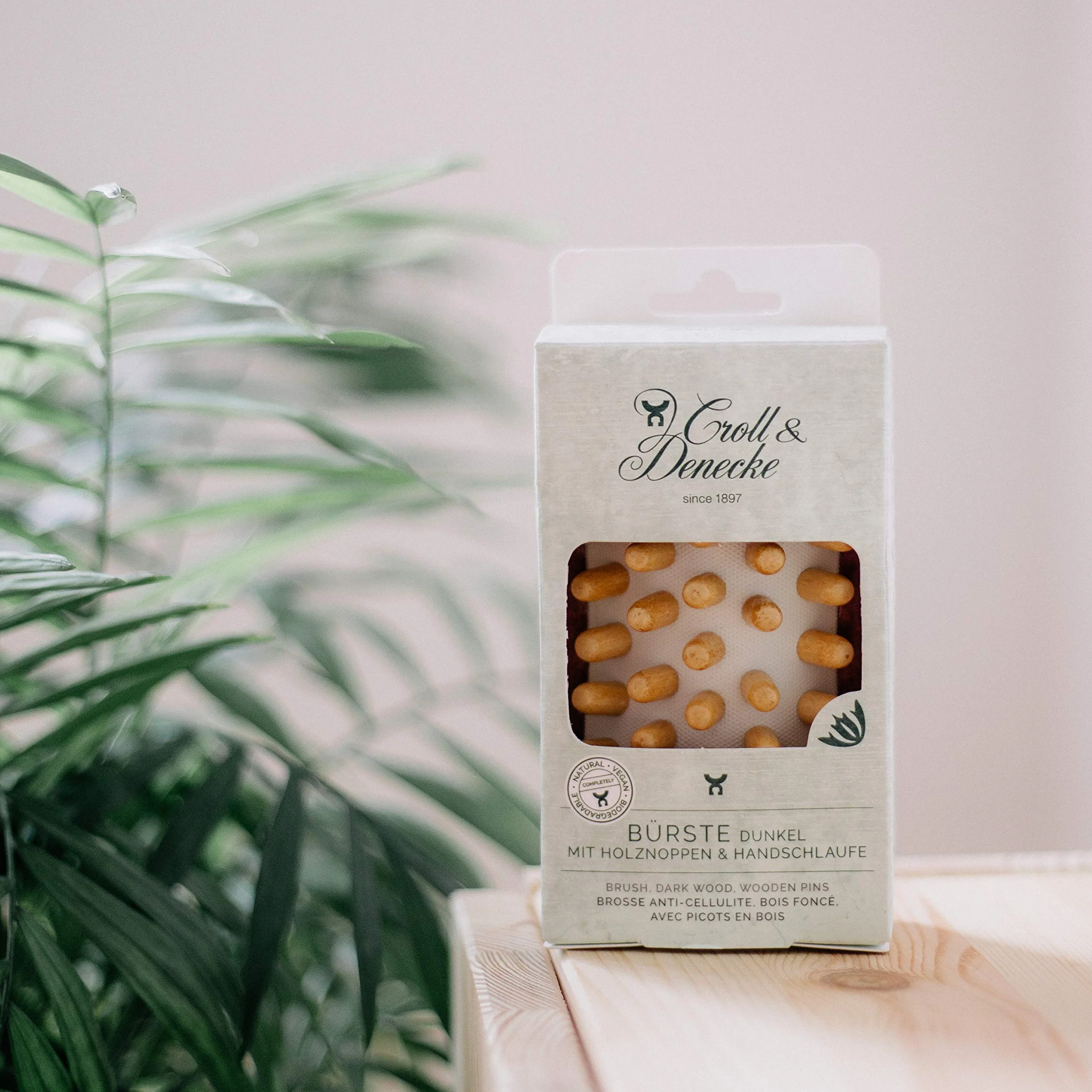 Brosse de massage anti-cellulite