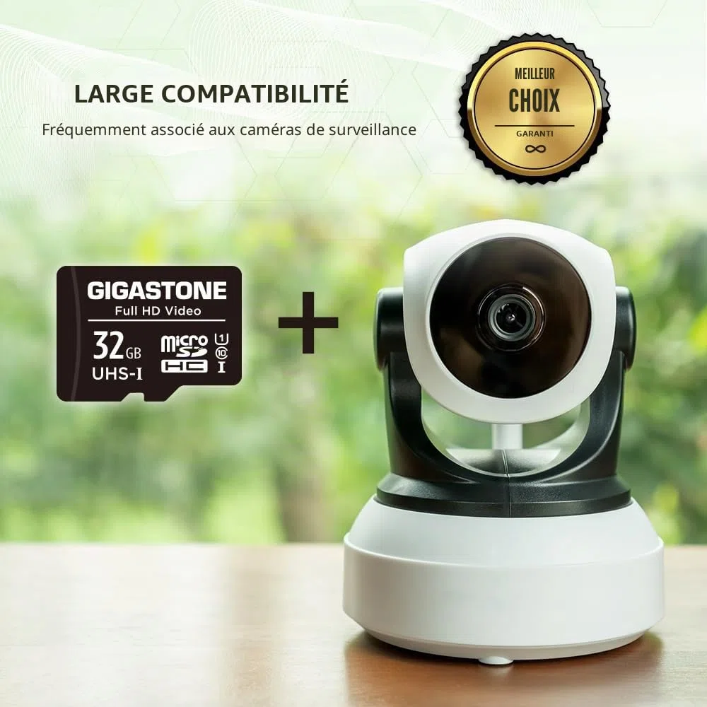 GIGASTONE Carte Mémoire 32 Go Lot de 20 Cartes, Full HD Video, Compatible avec Surveillance Caméra de sécurité, Caméra d'action, Drone, Haute Vitesse jusqu'à 90 Mo/s, Class10 MicroSDHC avec Adaptateur