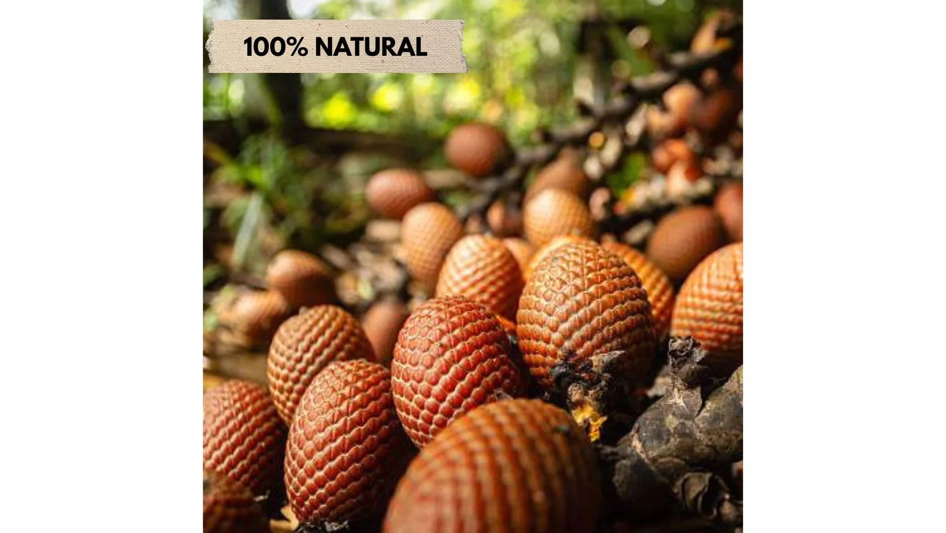 Huile de Buriti (aguaje) 30ml - INKANAT - Hydratant naturel pour la peau et les cheveux