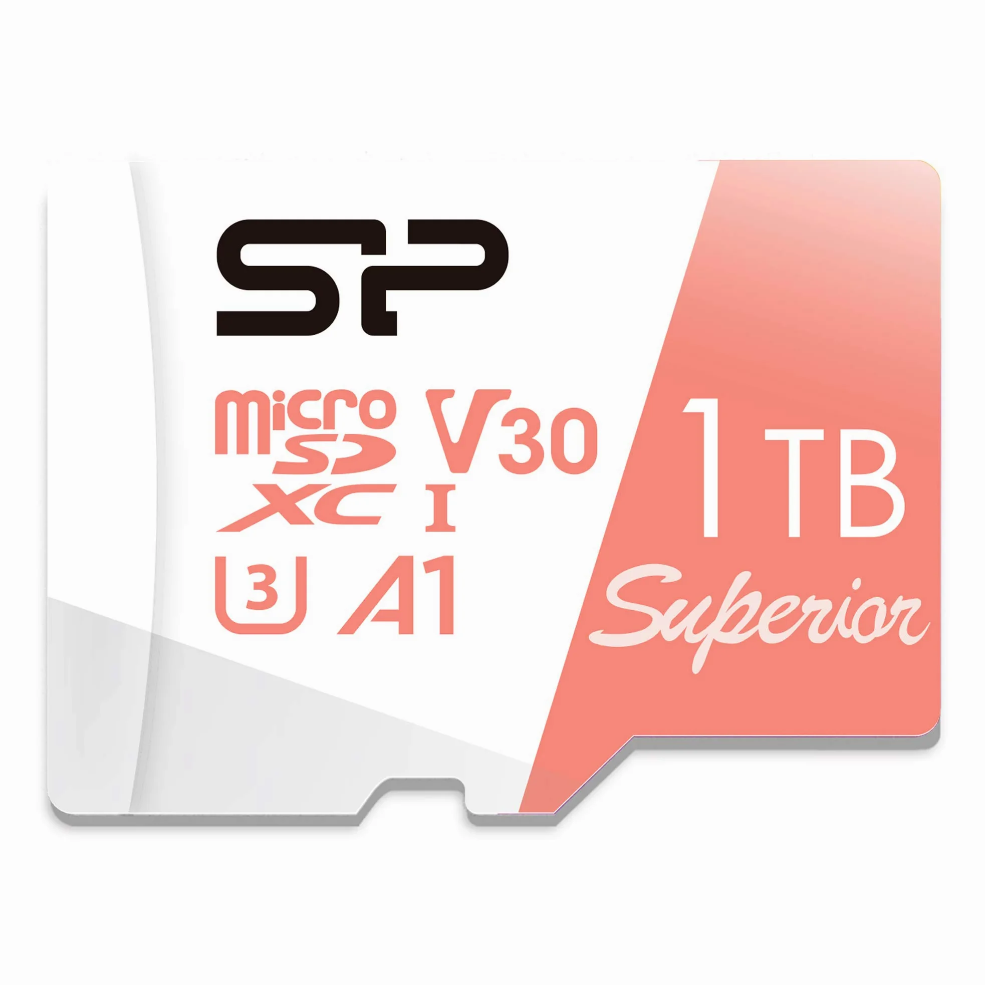 Silicon Power Carte mémoire Micro SD 1 to Compatible Nintendo Switch Compatible avec Carte mémoire SDXC microSDHC Haute Vitesse avec Adaptateur
