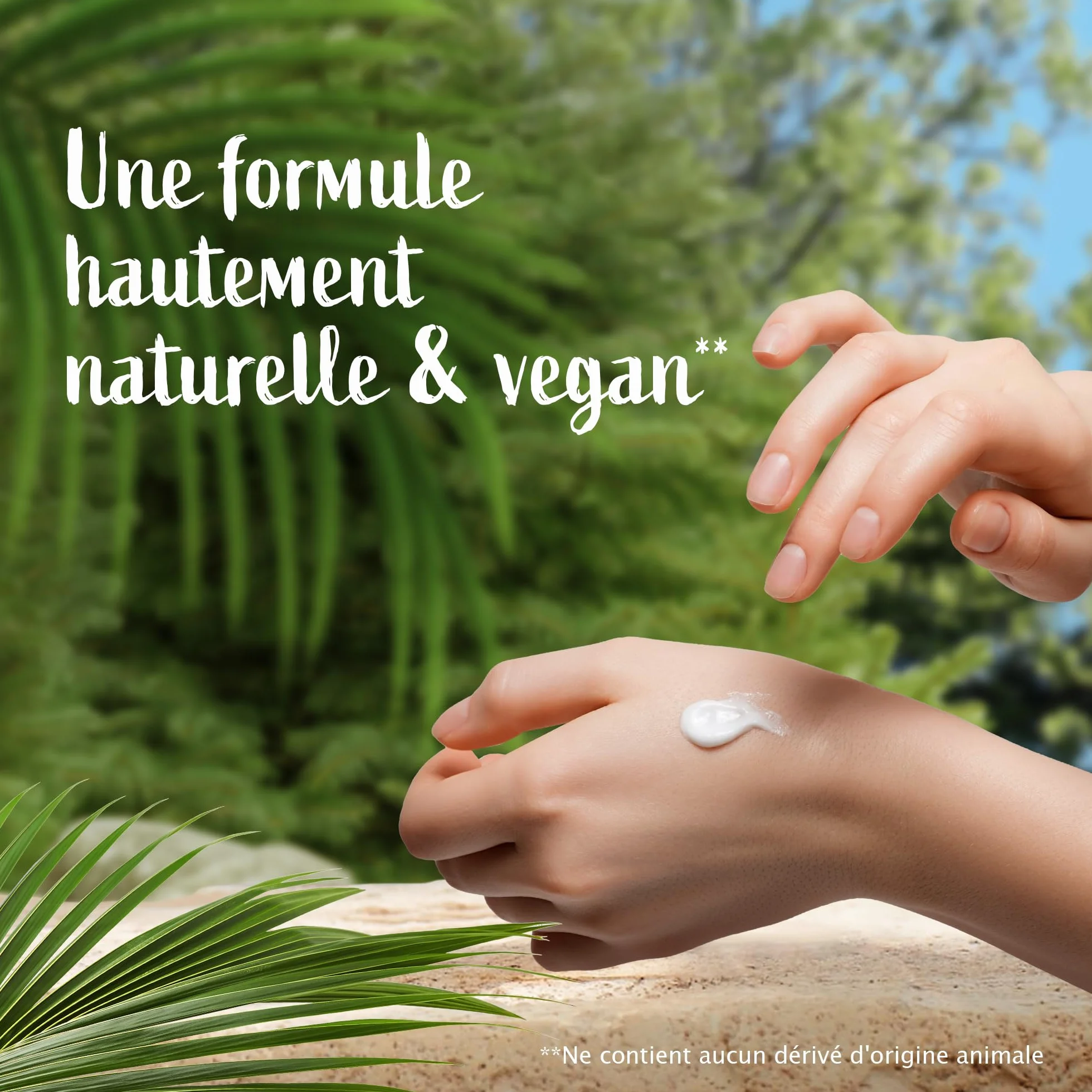 Le Petit Marseillais Crème Corps Nourrissante Eau de Coco 380 ml Crème hydratante peaux sèches Vegan