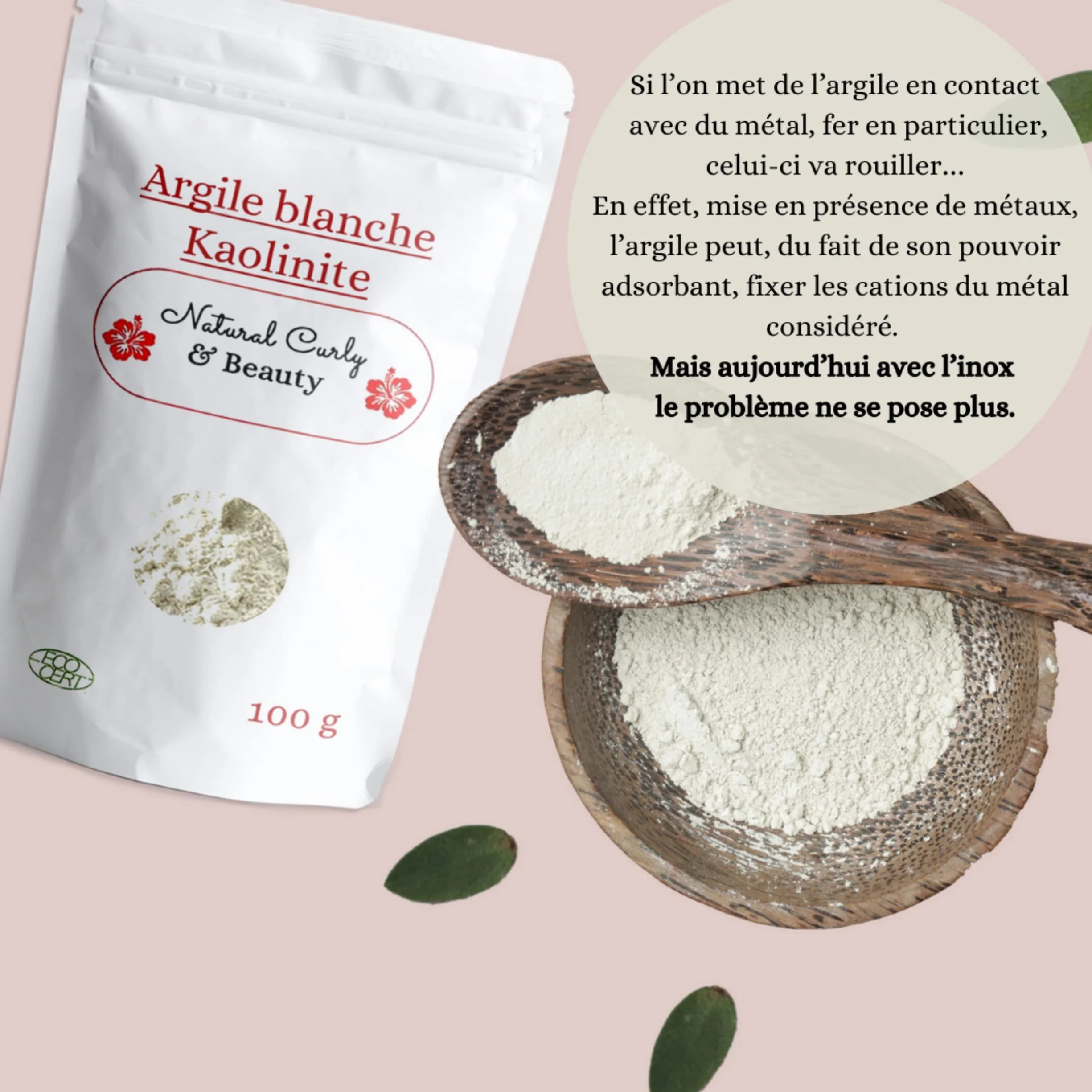 Argile blanche kaolin certifiée Eco-Cert avec pinceau applicateur masque en silicone visage corps cheveux