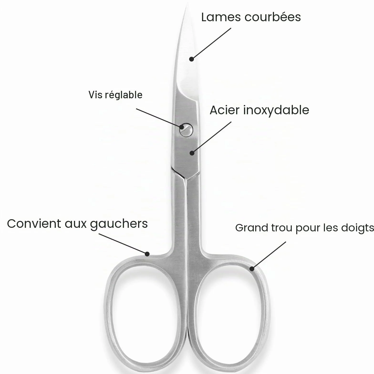 SS INSTRUMENTX Ciseaux à ongles professionnels à lame incurvée pour ongles épais