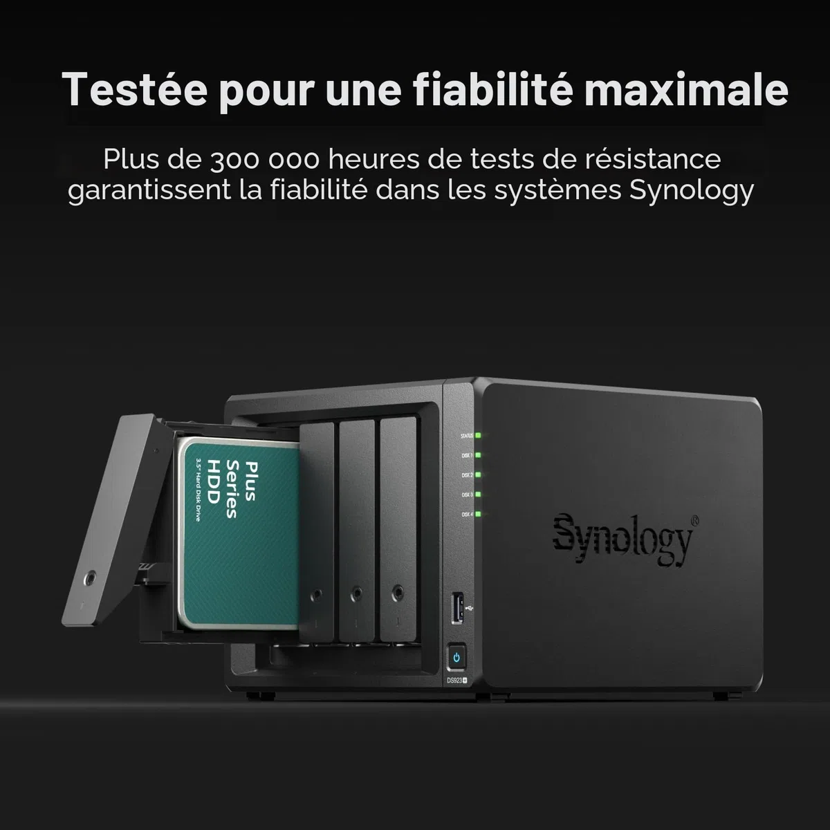Synology HAT3300-2T HDD de 2 to