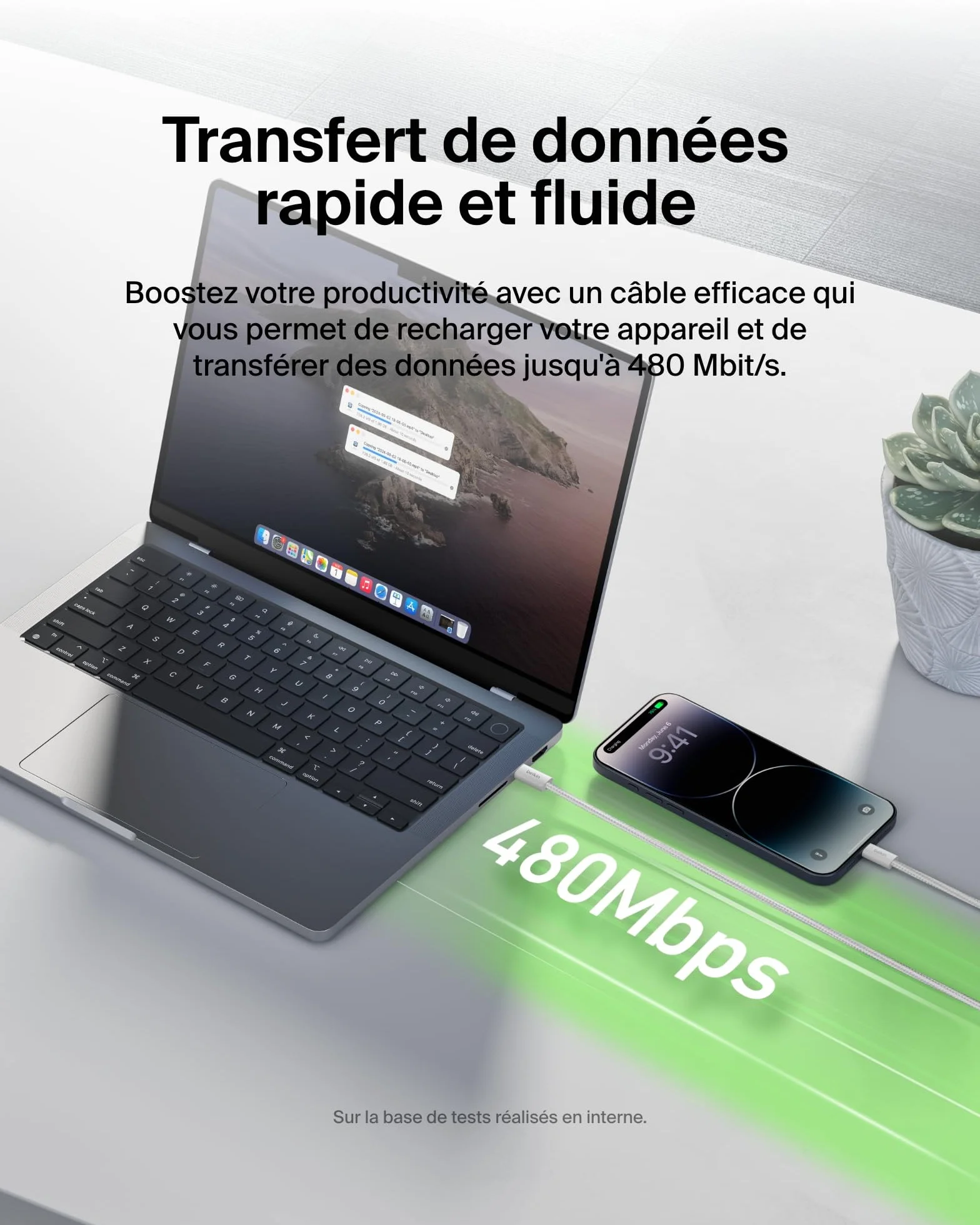 Belkin Pack de 2 Câbles USB-C Lightning 1,5 m Gaine Tressée Recharge Rapide Blanc