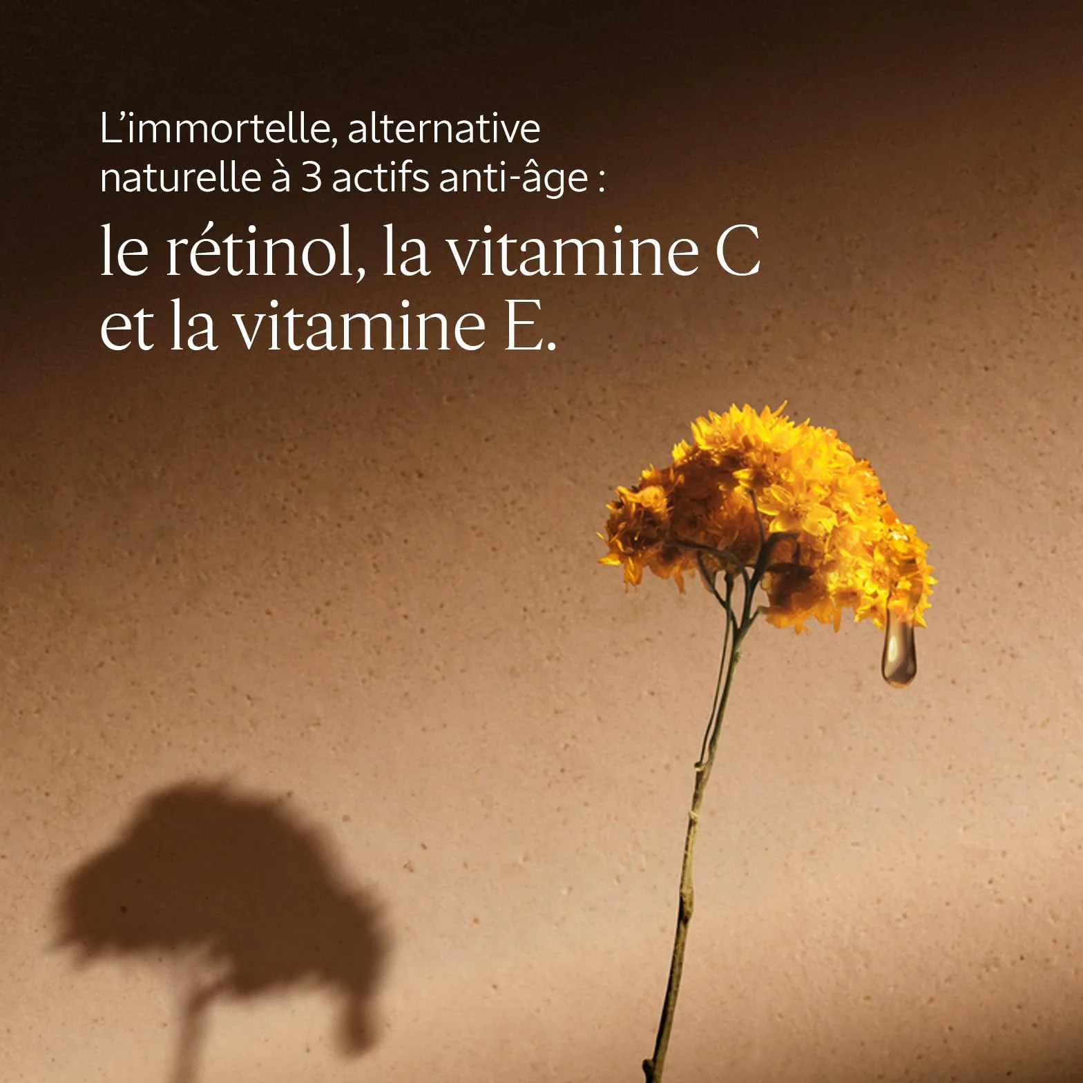 L'OCCITANE Coffret Soin Visage Huile démaquillante Immortelle Précieuse Sérum Reset Crème Ultra-Riche Karité Fabriqué en France