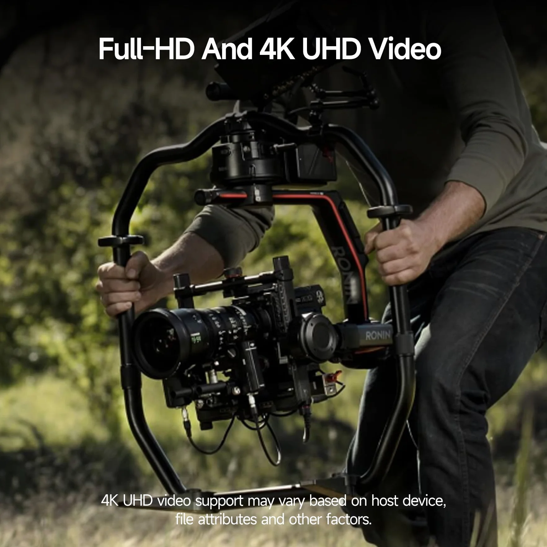 Fanxiang Carte SD 256 Go 100 Mo/s SDXC UHS-I V30 U3 Classe 10 pour Appareil Photo Vidéos 4K UHD