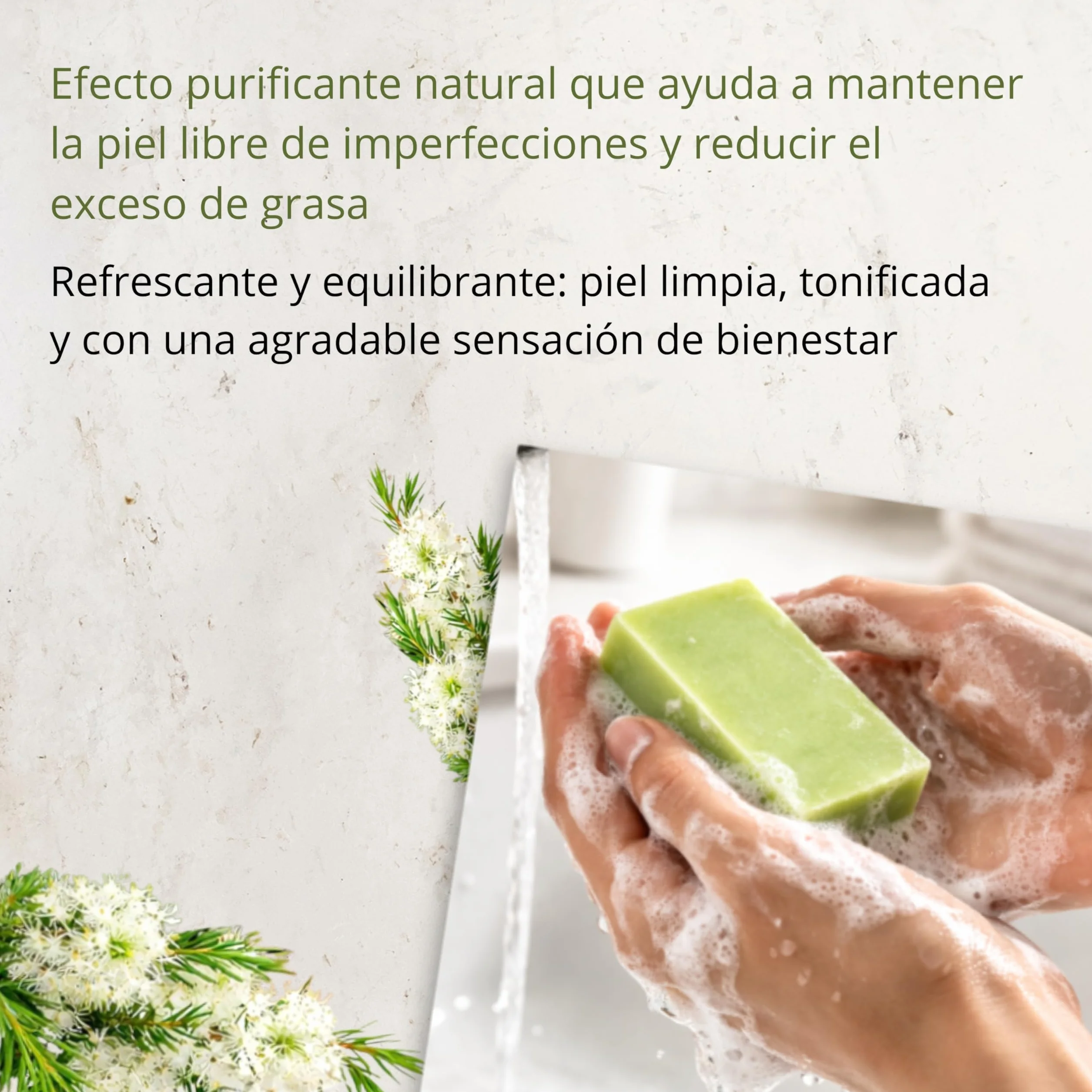 Savon Tea Tree à l'huile d'olive 100 g – savon solide corps et visage, cosmétique naturelle pour peaux grasses et mixtes