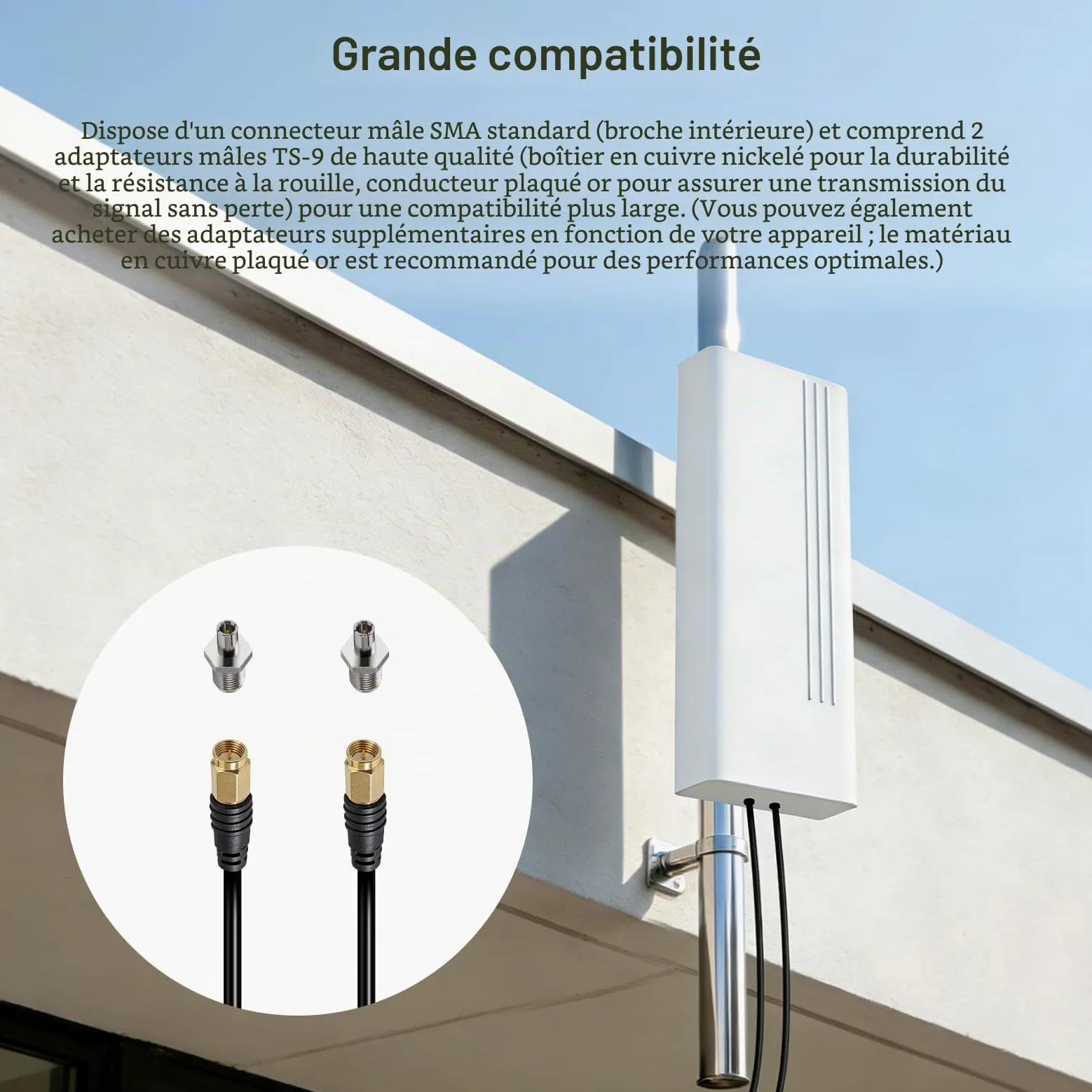 Antenne Extérieure 5G 22dBi, 600-6000MHz Directionnelle, 4G Antenne WiFi Dual-Polarisation LTE Antenne Mimo Exterieur Antenne SMA / 2 x TS9, pour Routeur 4G 5G,2 x Câble 10m Faible Perte