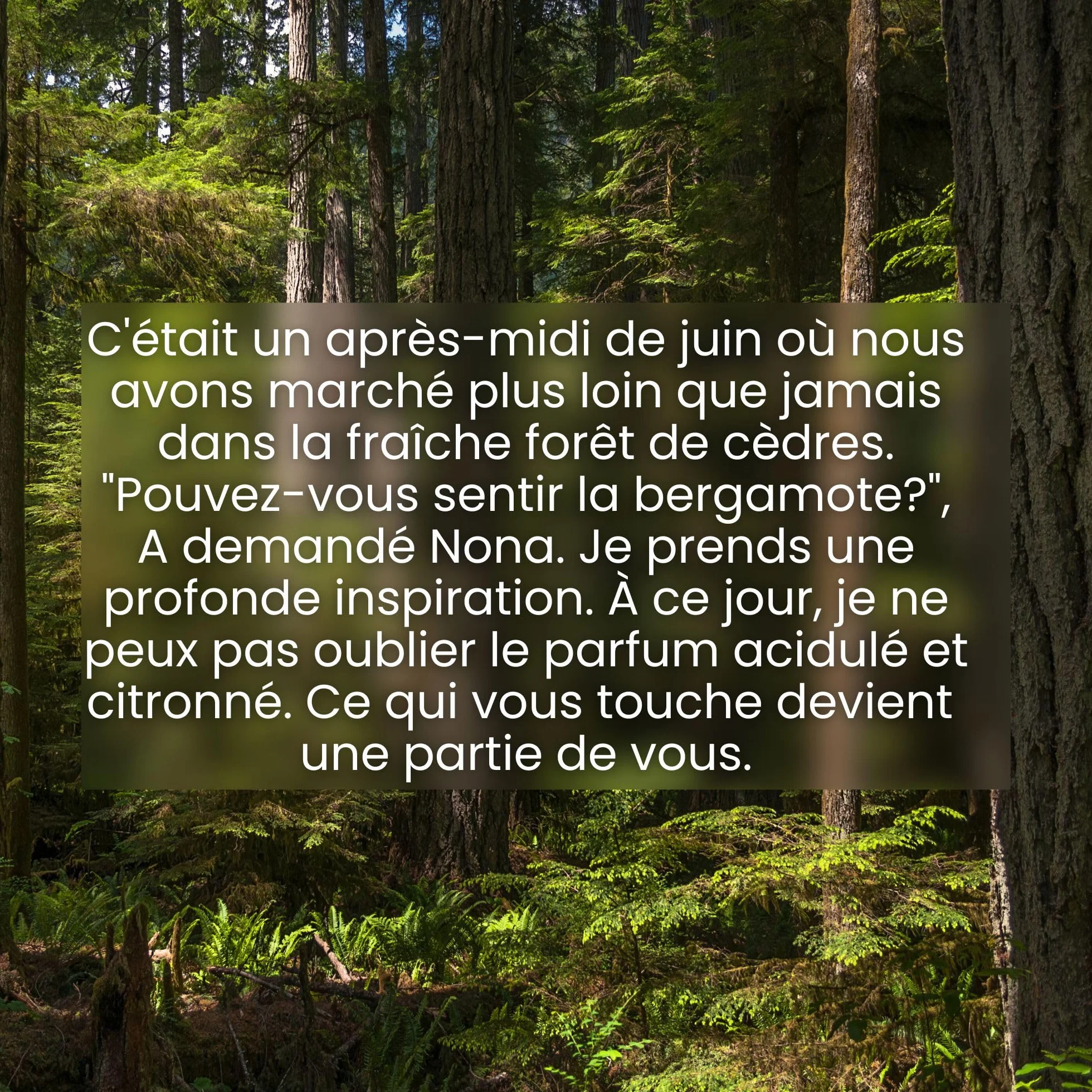Jean & Len Savon mains Bergamot & Cedarwood, liquide en distributeur, 250 ml, végane