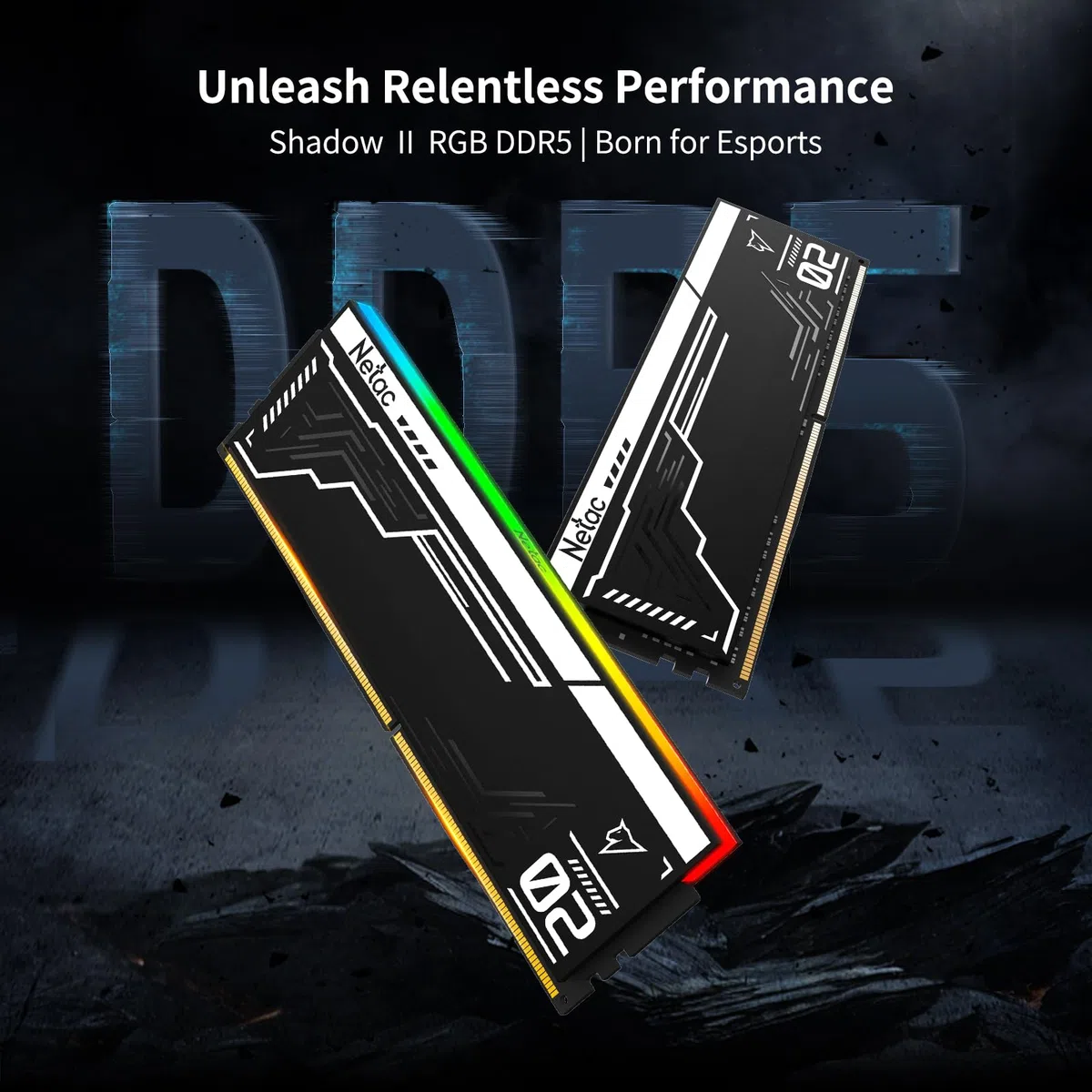 Netac Lot de 2 barrettes de mémoire RAM DDR5 RVB 32 Go (2 x 16 Go) 6400 MHz (PC5-51200) CL32 pour ordinateur de bureau XMP 3.0 - Noir